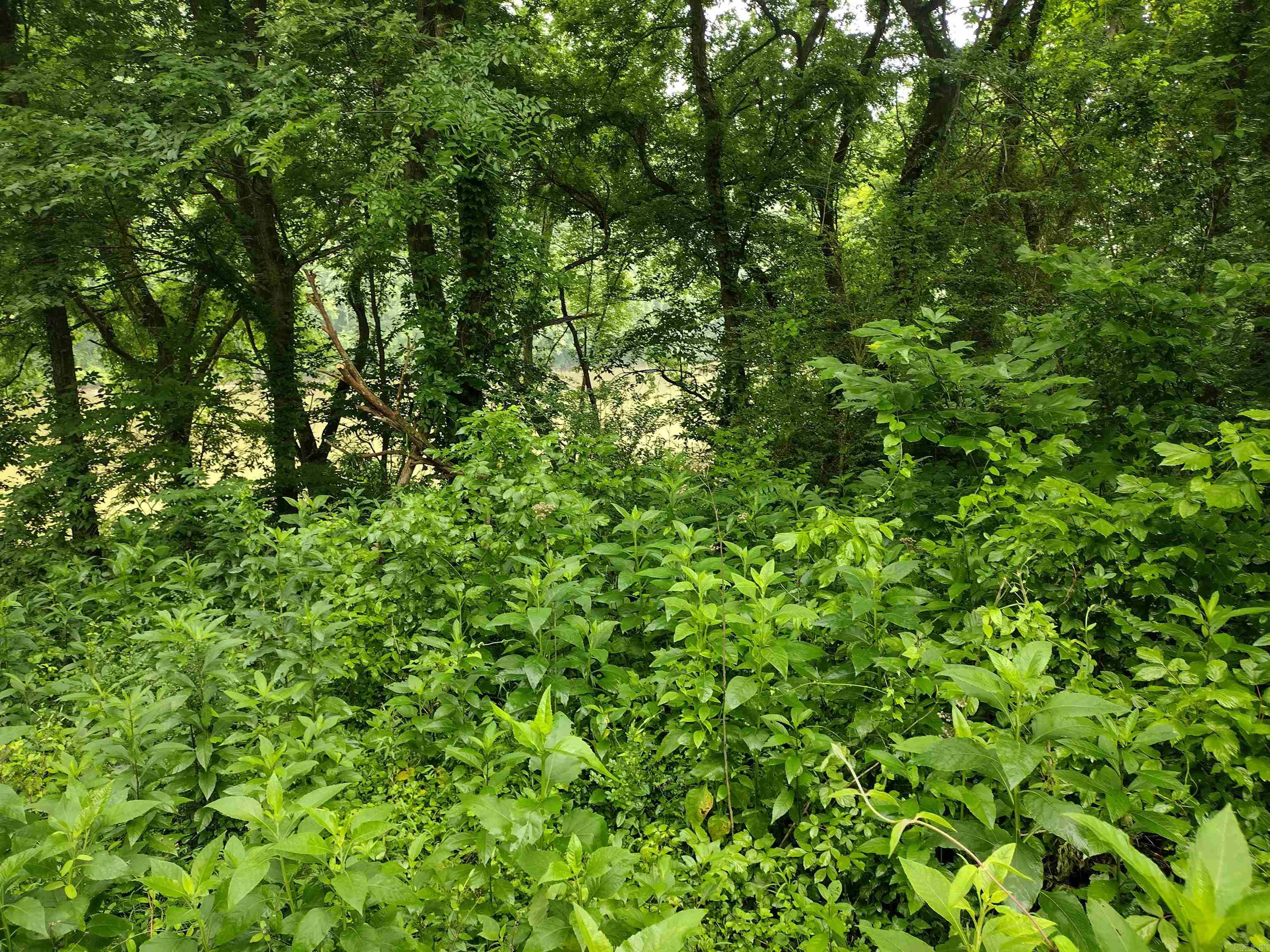 890 S River View LN  Mountain View, AR