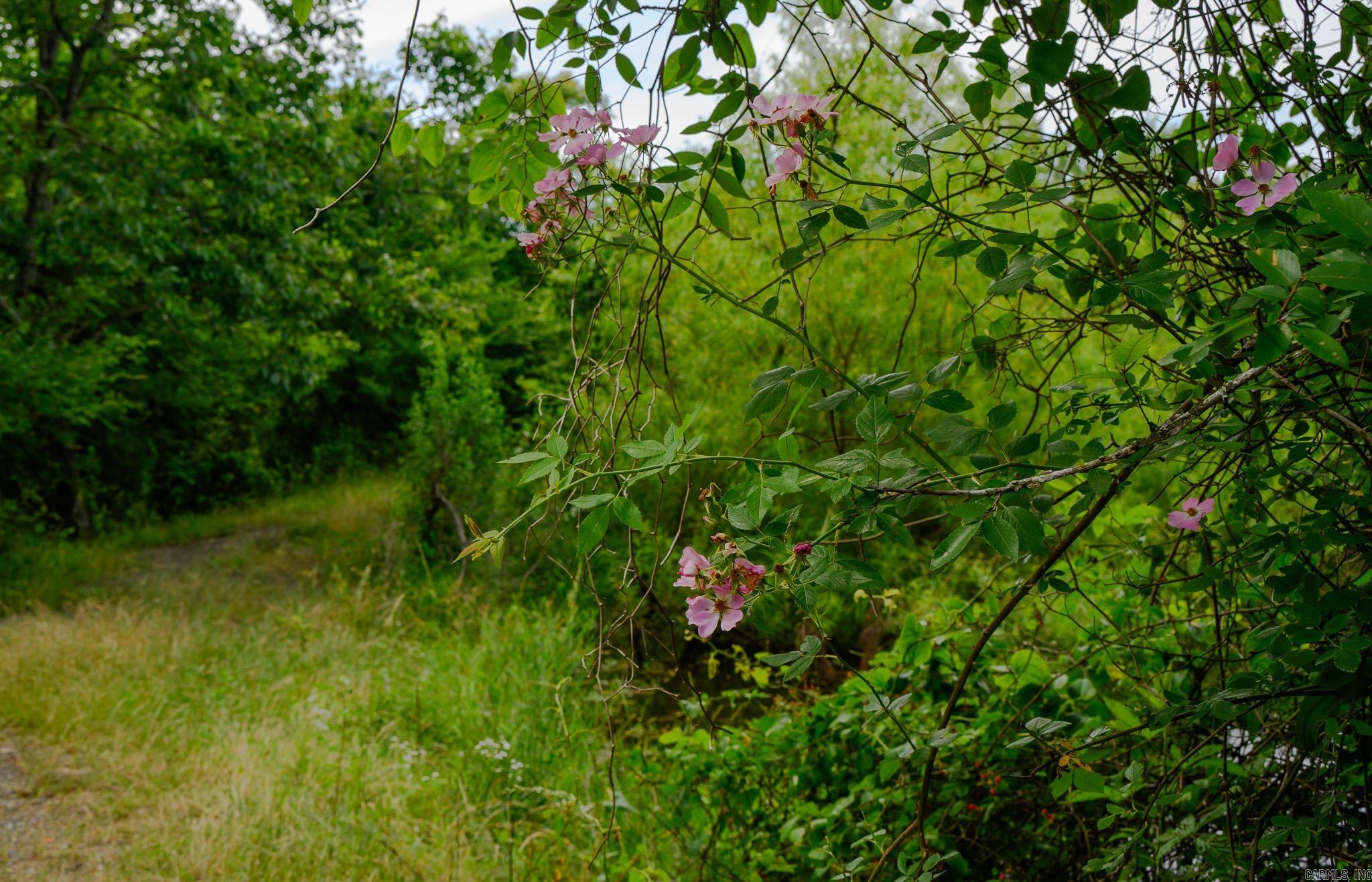 505 Stoney Point Oden, AR 71961