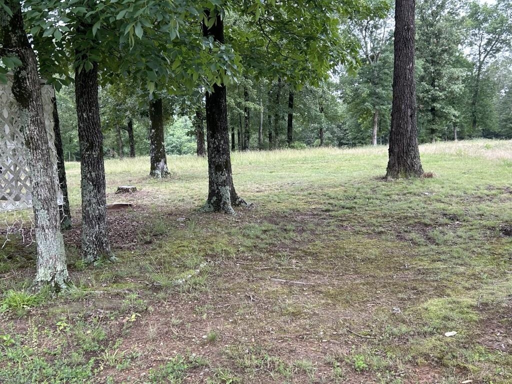 318 S Riggsville  Mountain View, AR