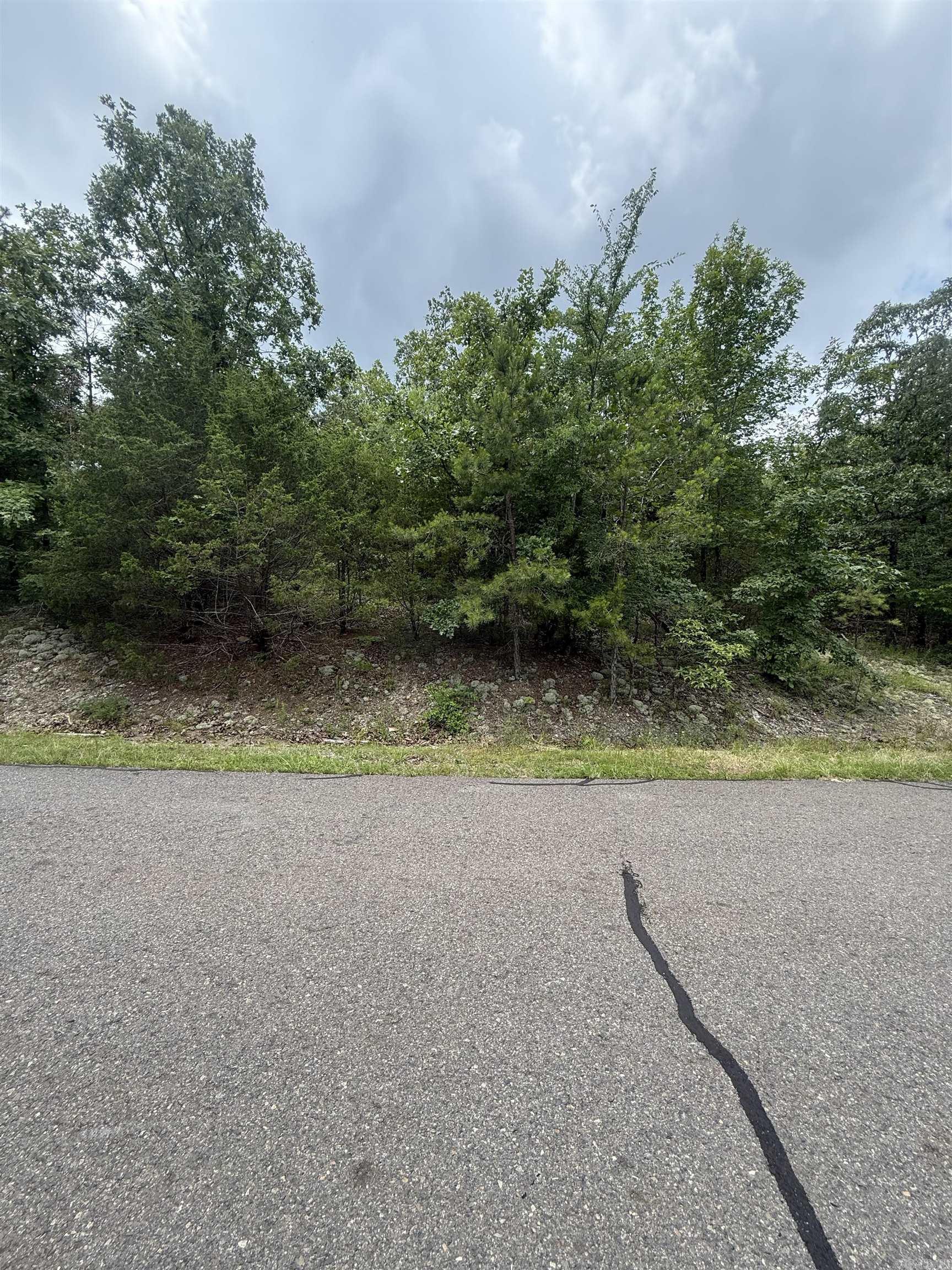 22 Cetrero  Hot Springs Village, AR