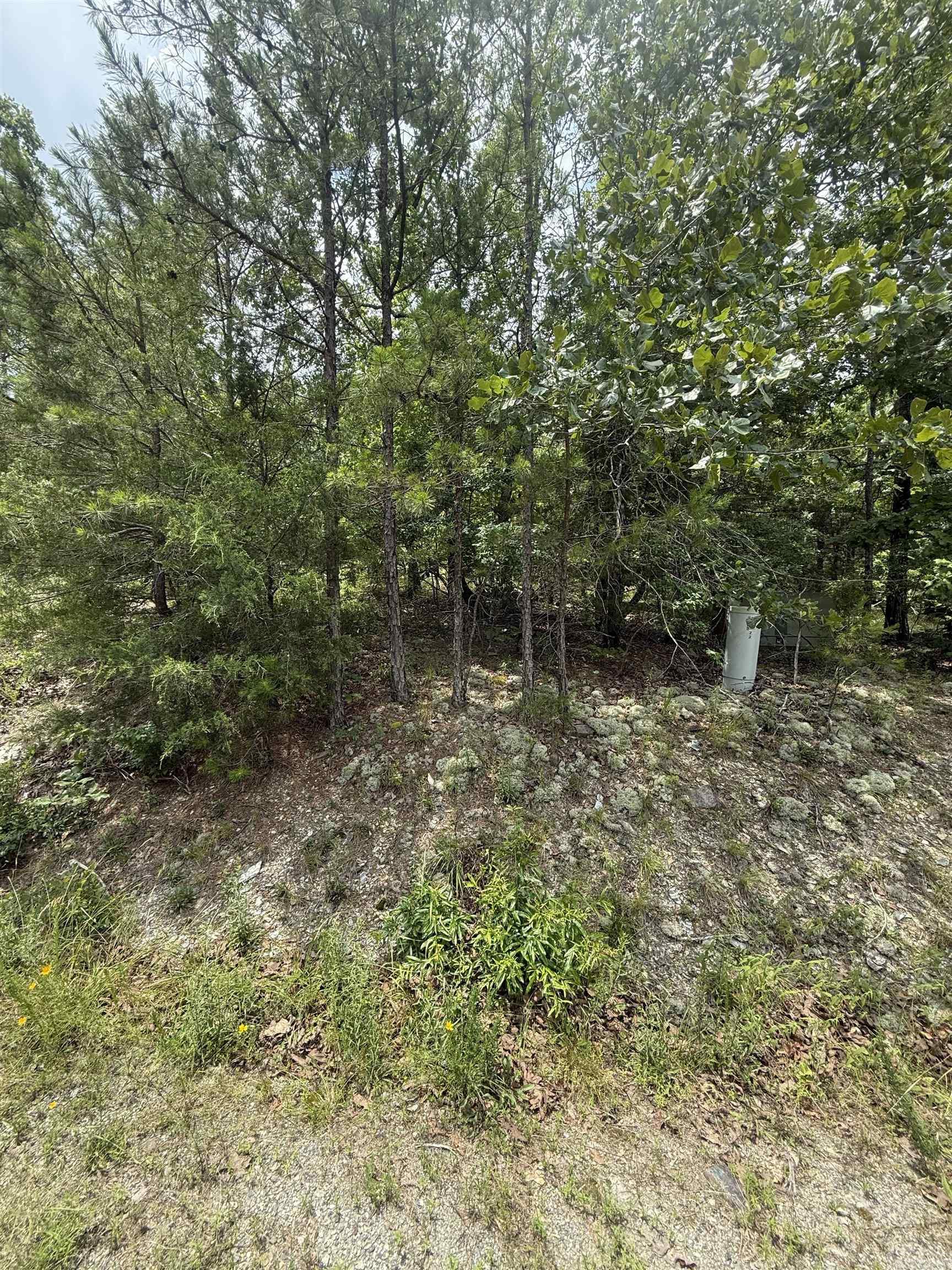 22 Cetrero  Hot Springs Village, AR