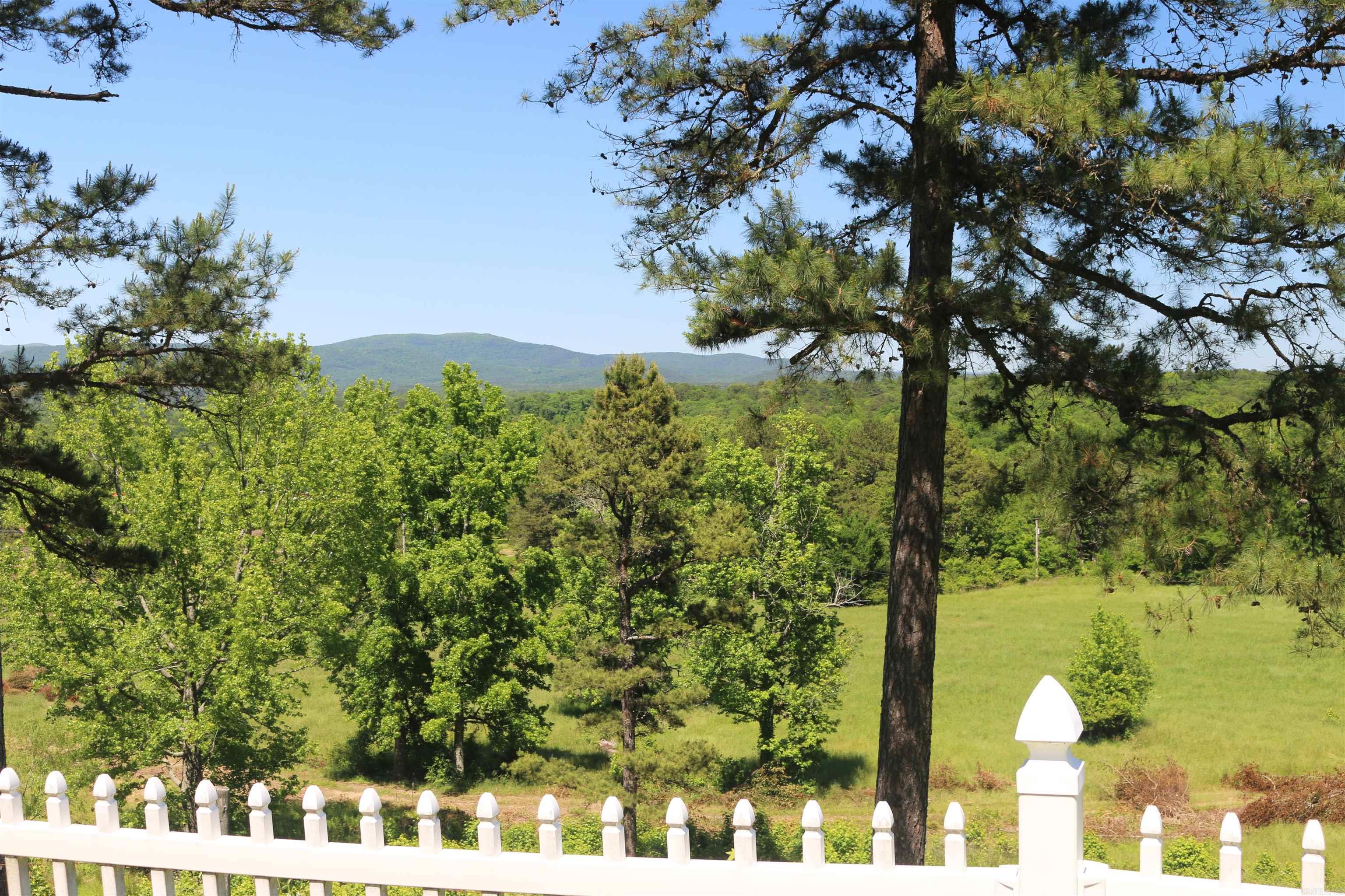 128 POLK RD 42 Road Mena, AR 71953