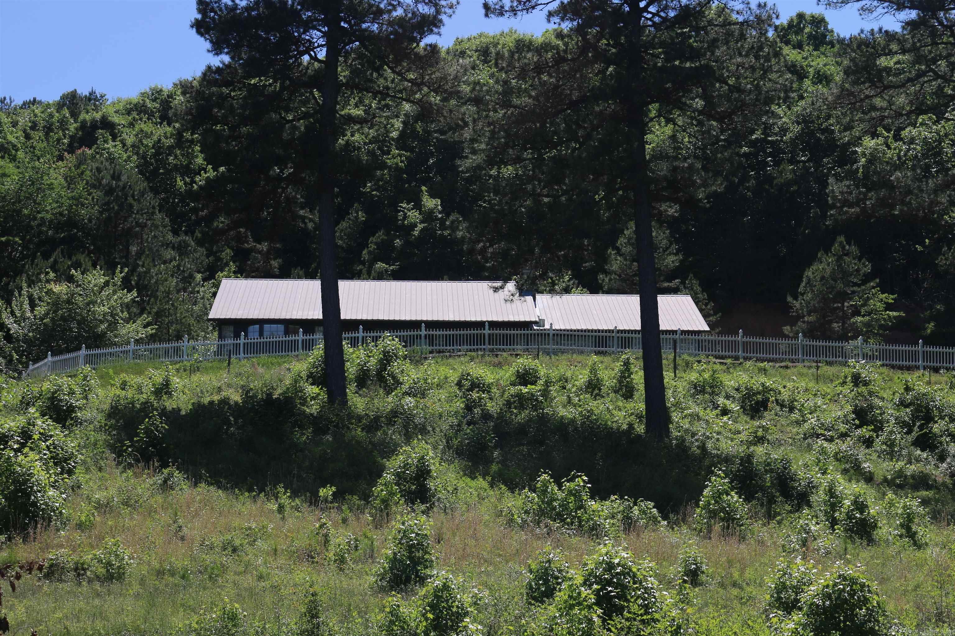 128 POLK RD 42 Road Mena, AR 71953