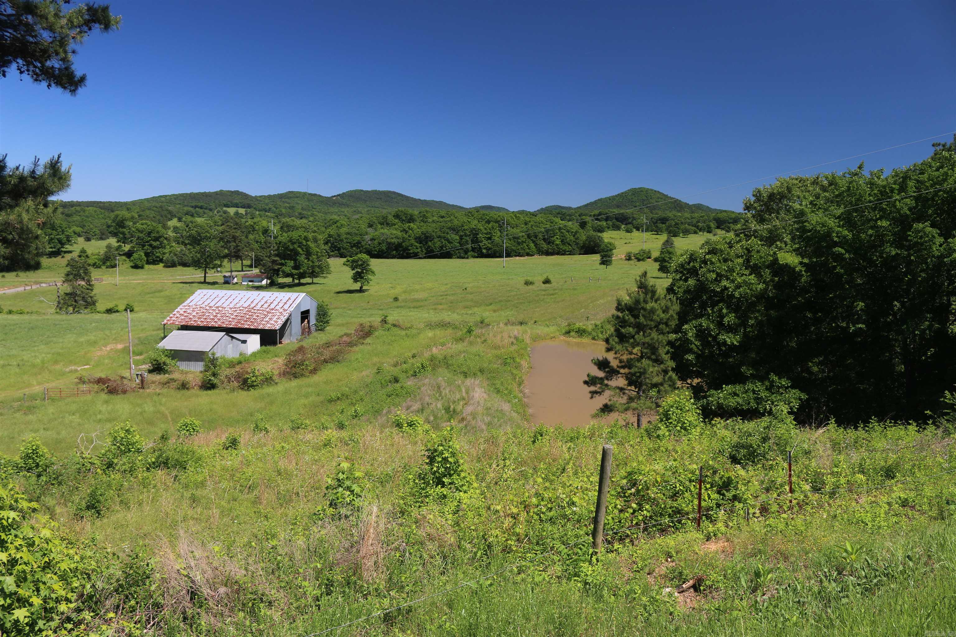 128 POLK RD 42 Road Mena, AR 71953