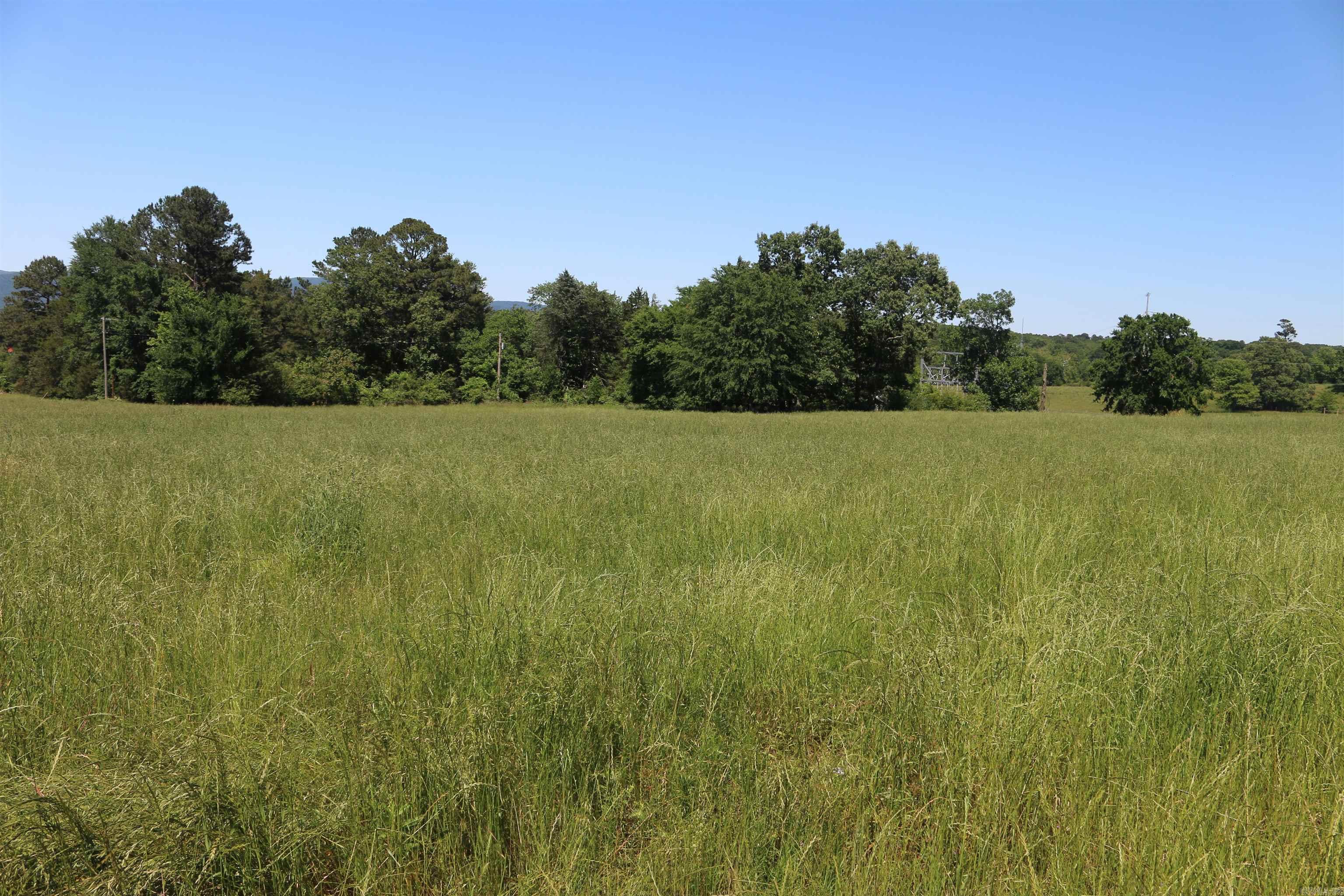 128 POLK RD 42 Road Mena, AR 71953