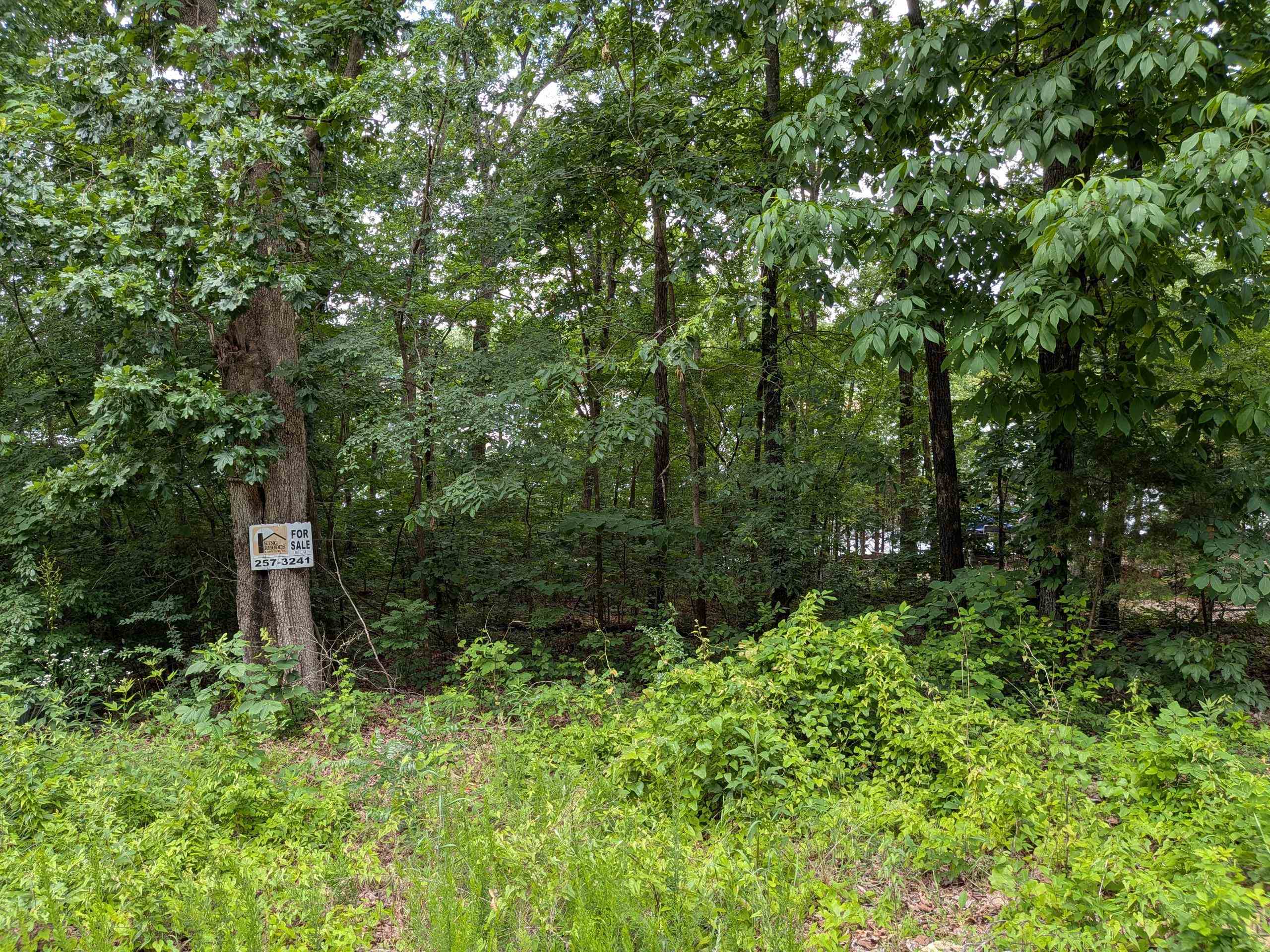  Lakeside  Ozark Acres, AR