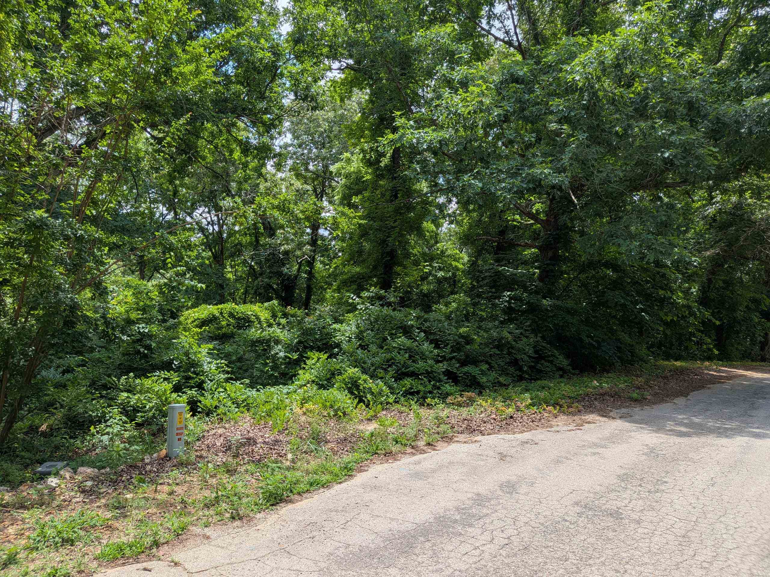  Lakeside  Ozark Acres, AR