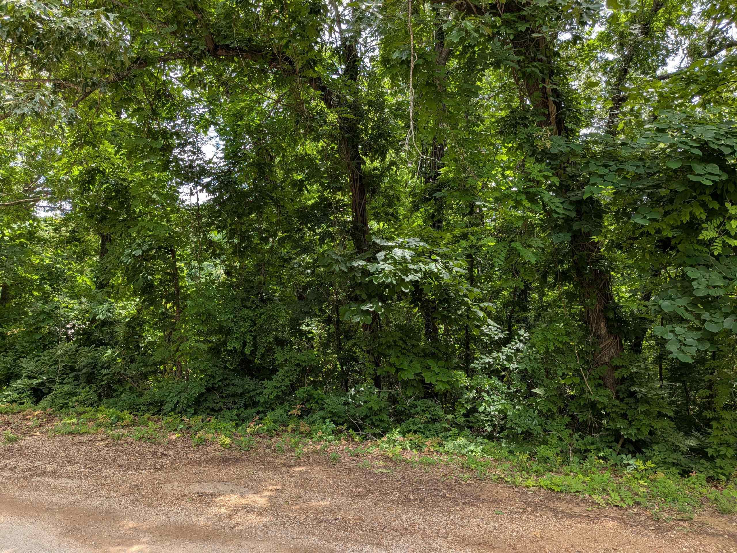  Lakeside  Ozark Acres, AR