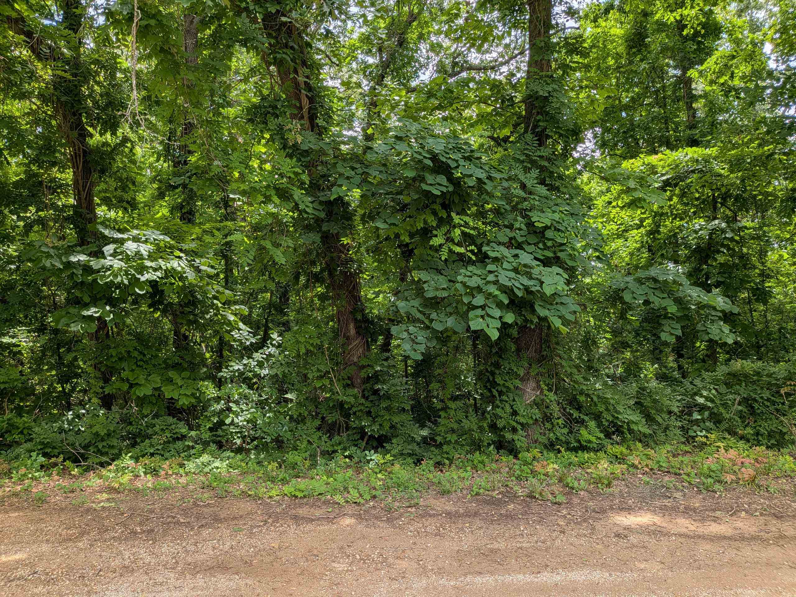  Lakeside  Ozark Acres, AR