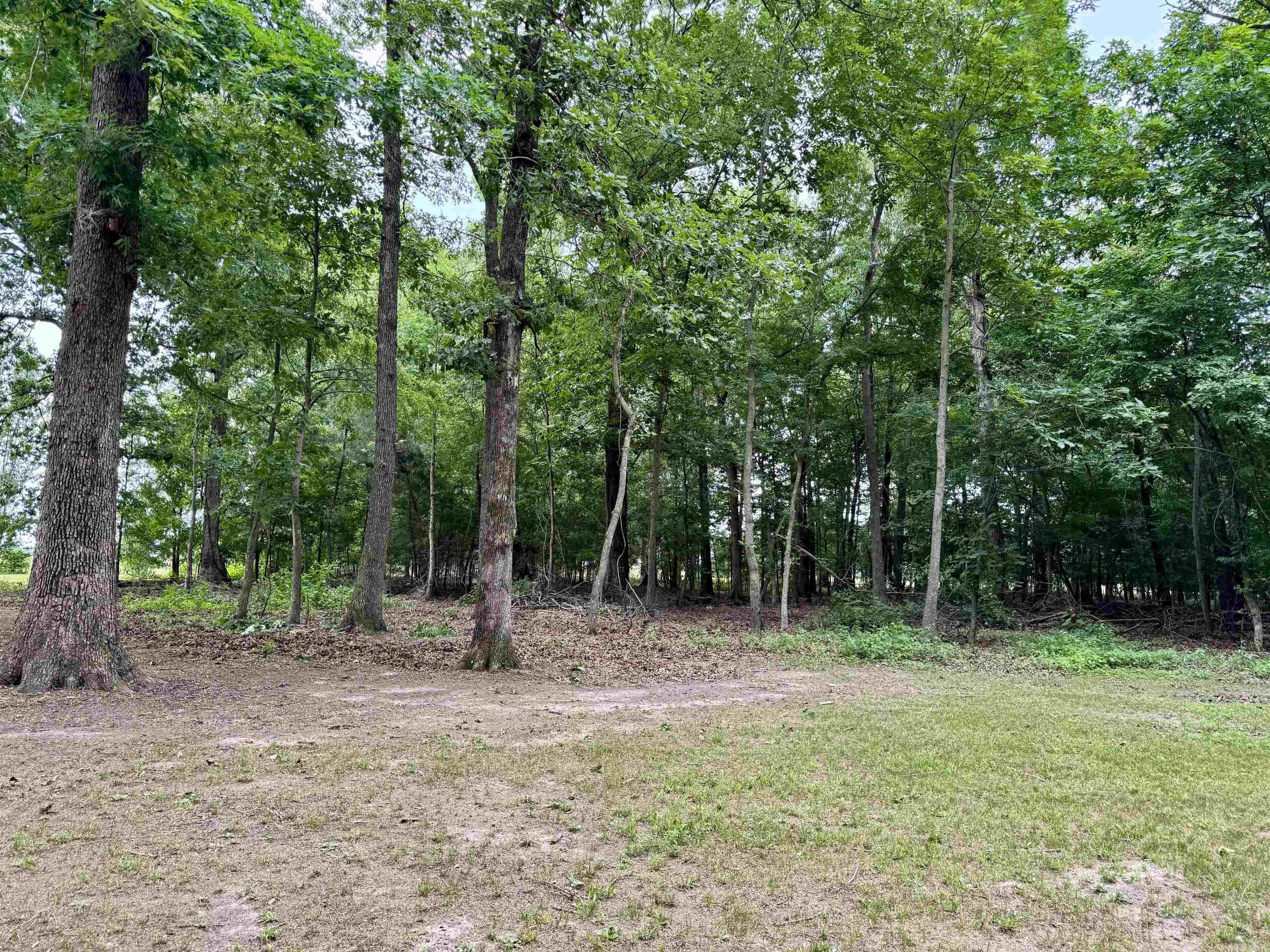 411 Senko Rd  Griffithville, AR