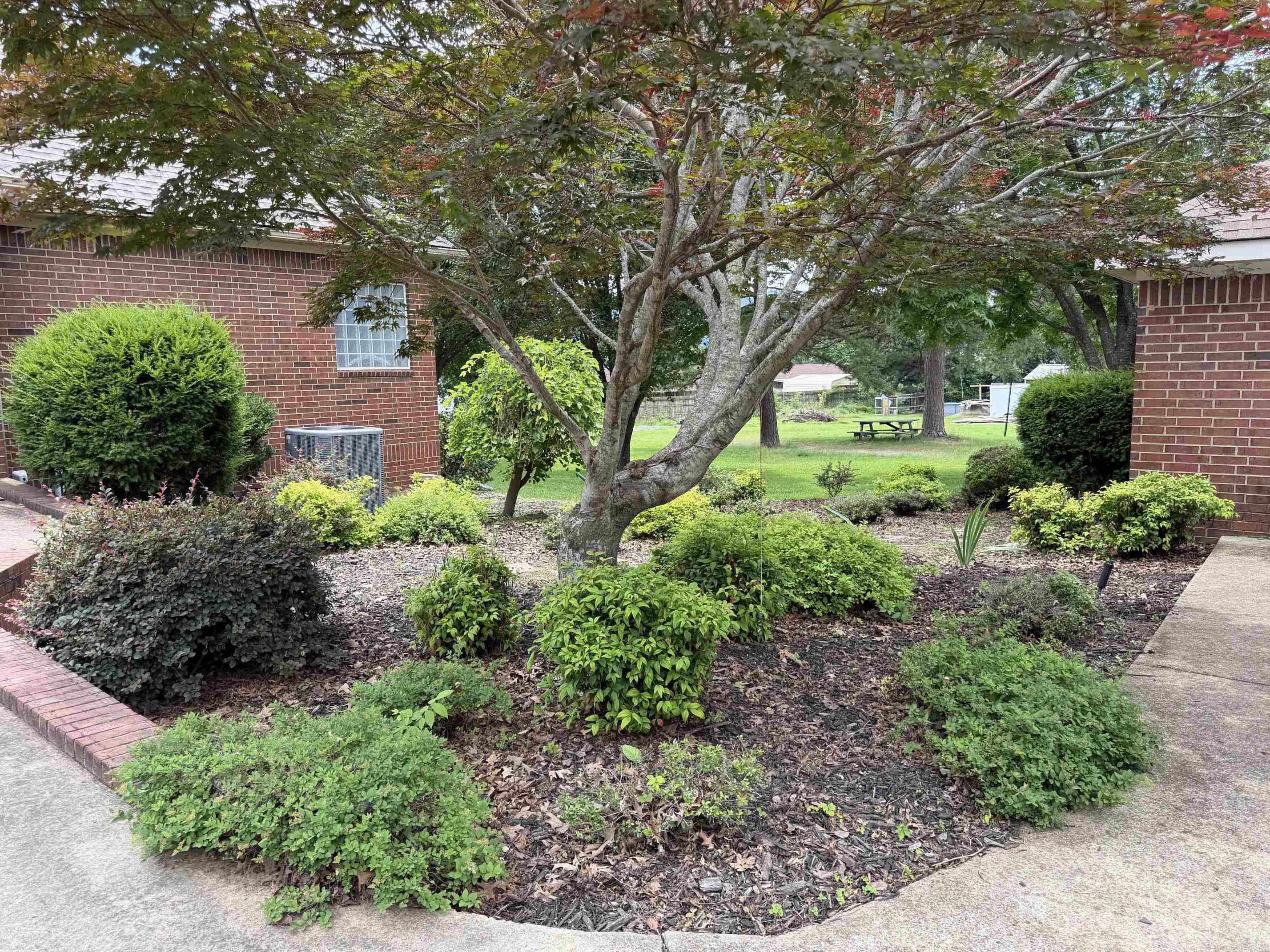 206 N Riggsville Drive  Mountain View, AR