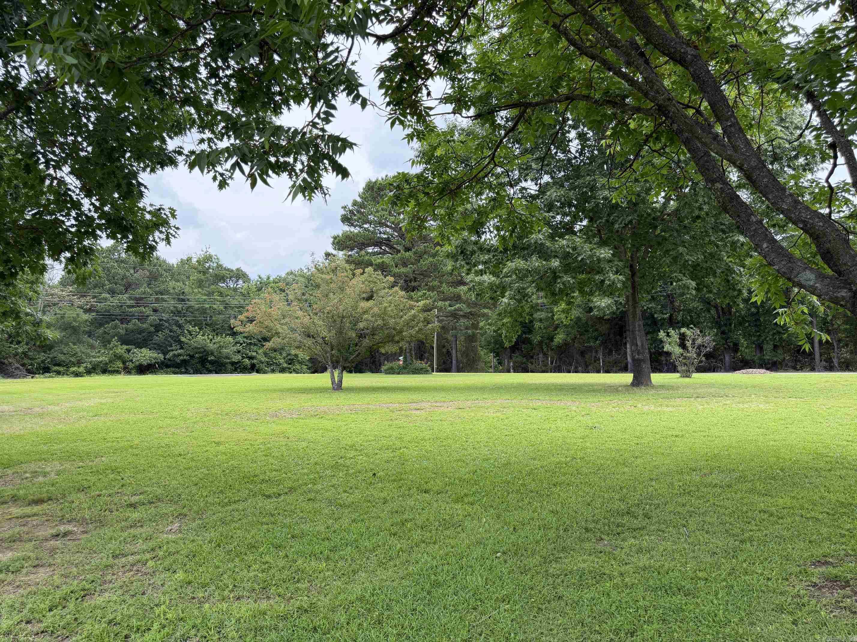 206 N Riggsville Drive  Mountain View, AR