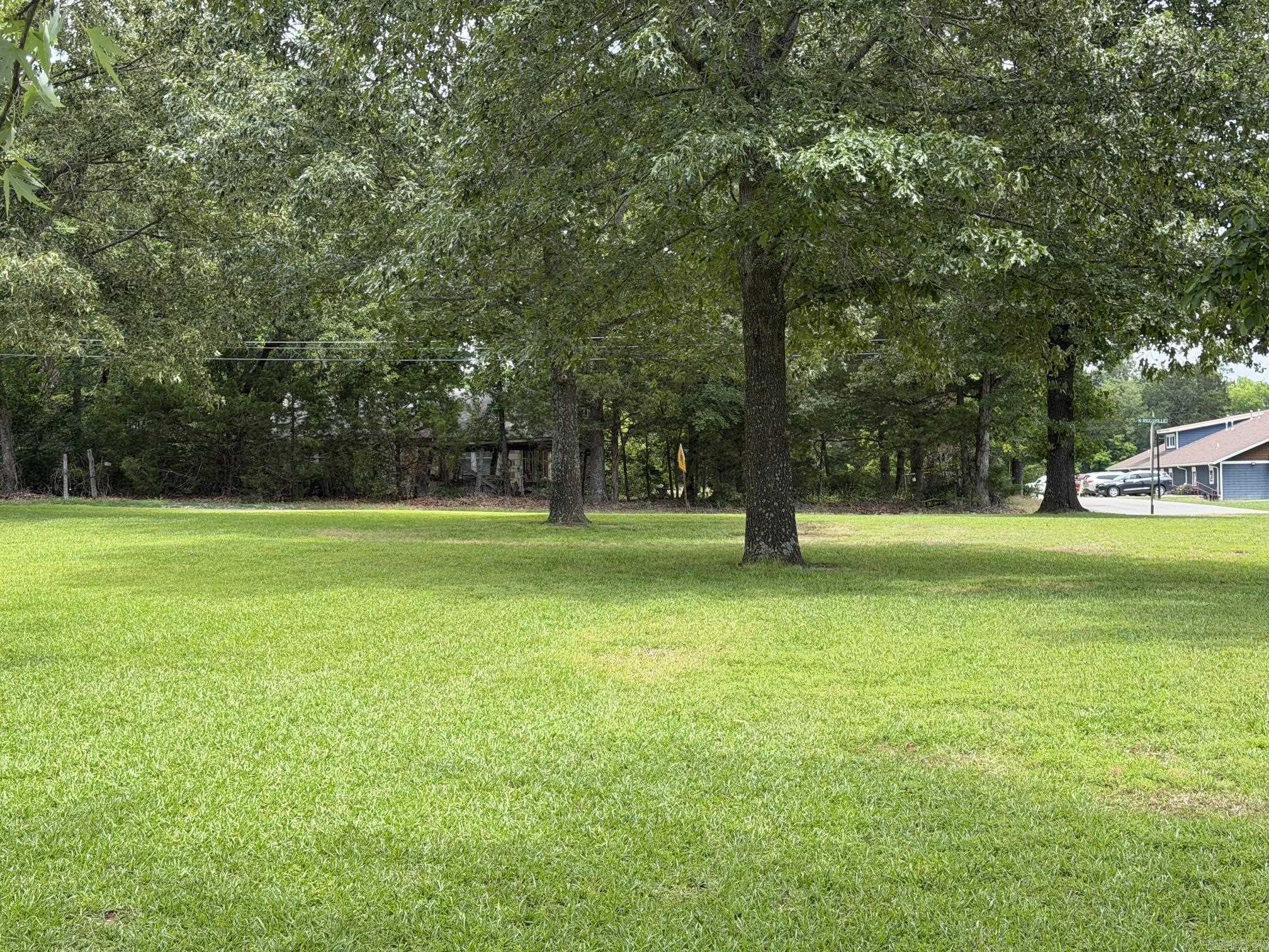 206 N Riggsville Drive  Mountain View, AR