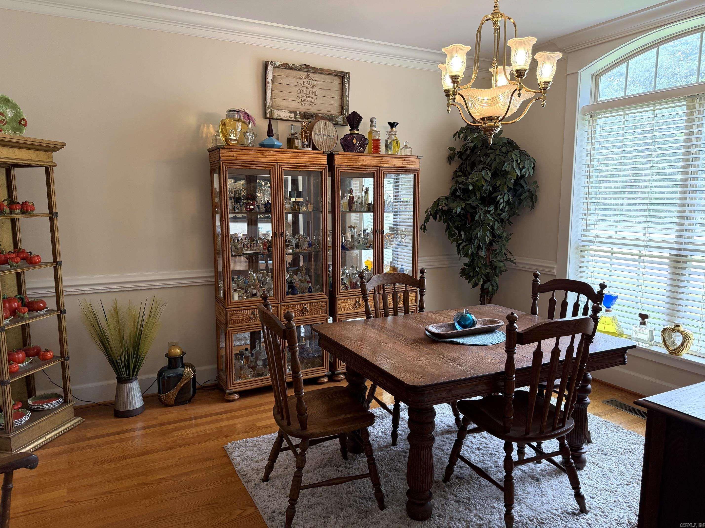 206 N Riggsville Drive  Mountain View, AR