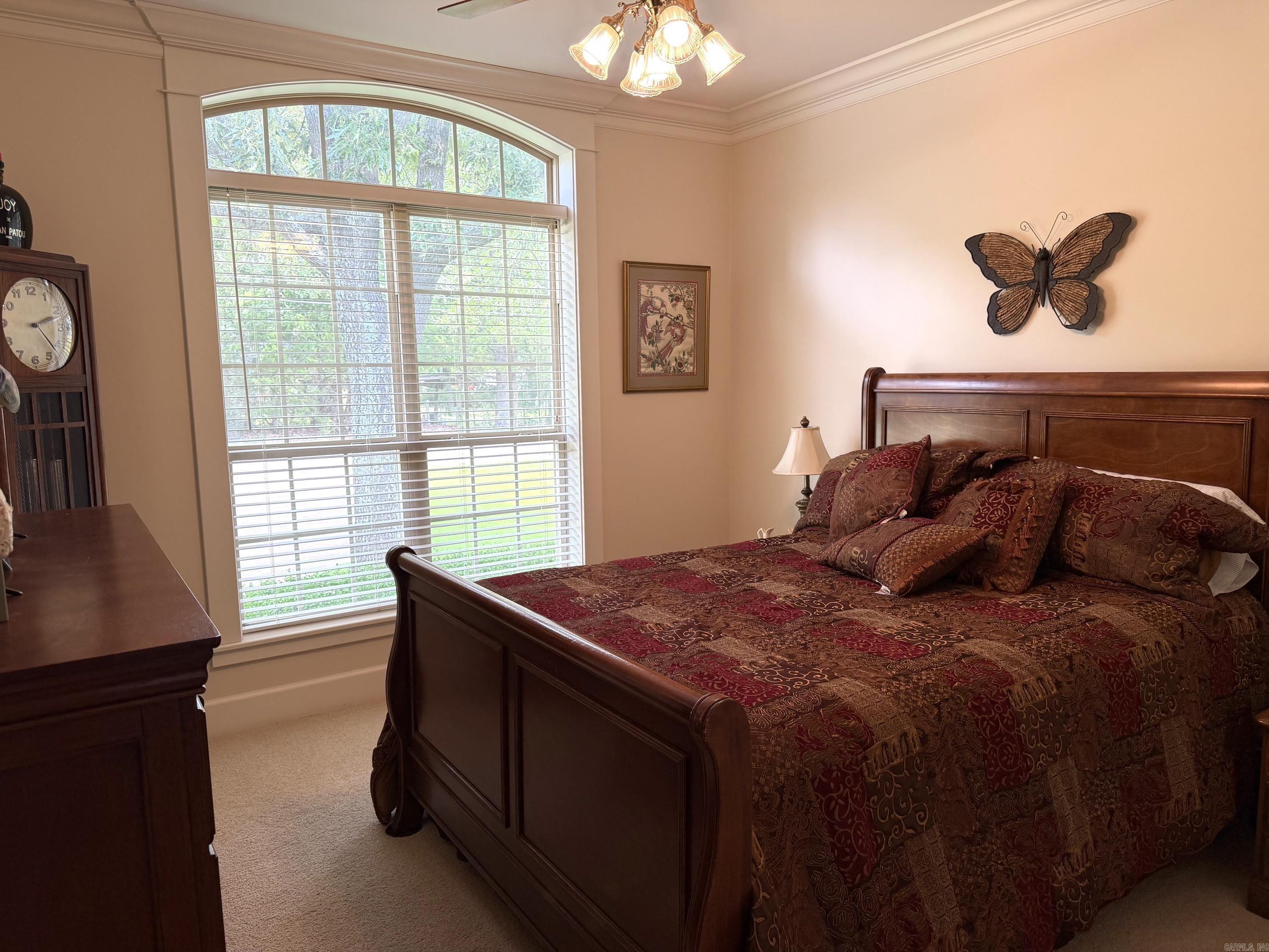 206 N Riggsville Drive  Mountain View, AR