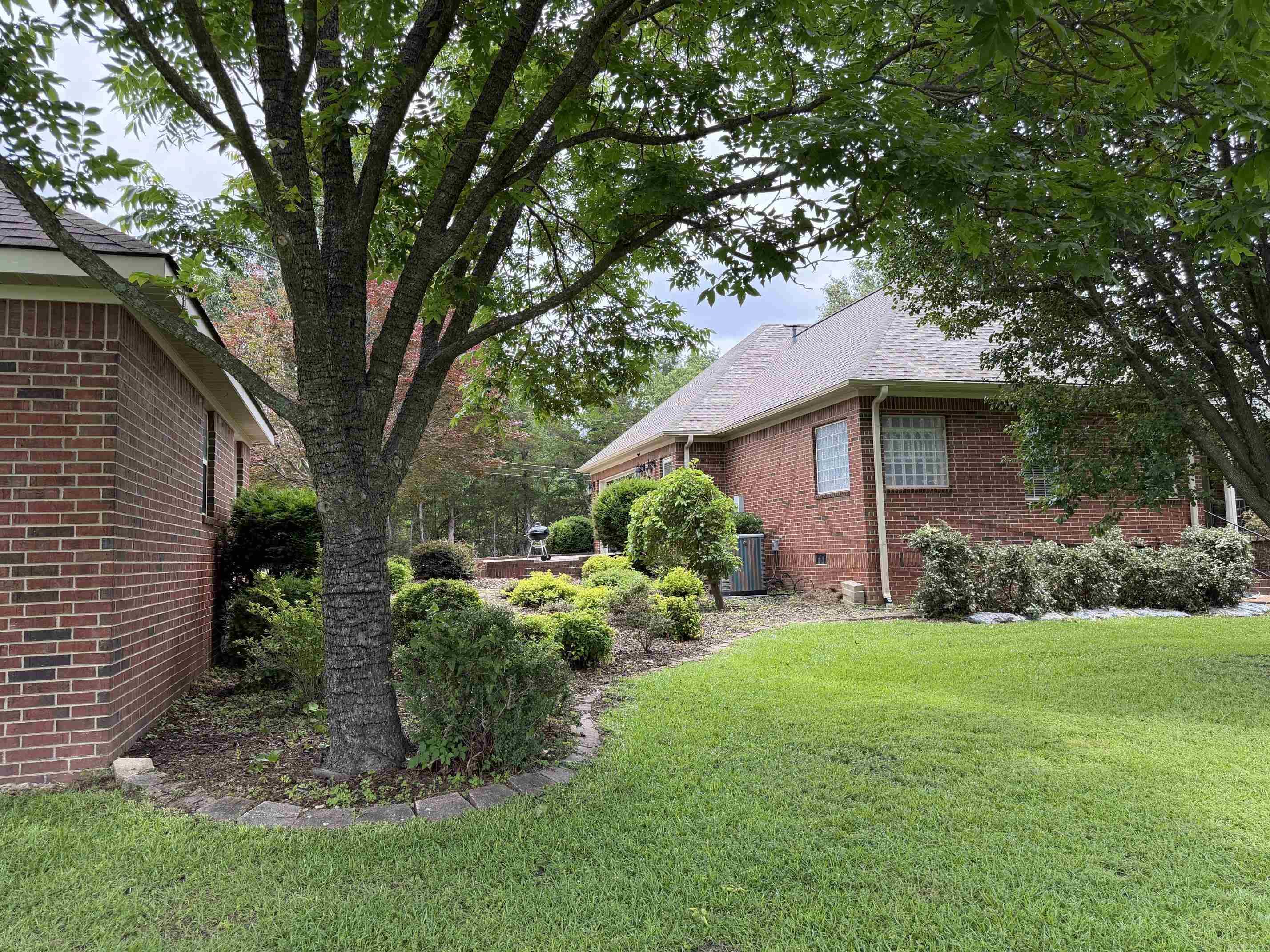 206 N Riggsville Drive  Mountain View, AR
