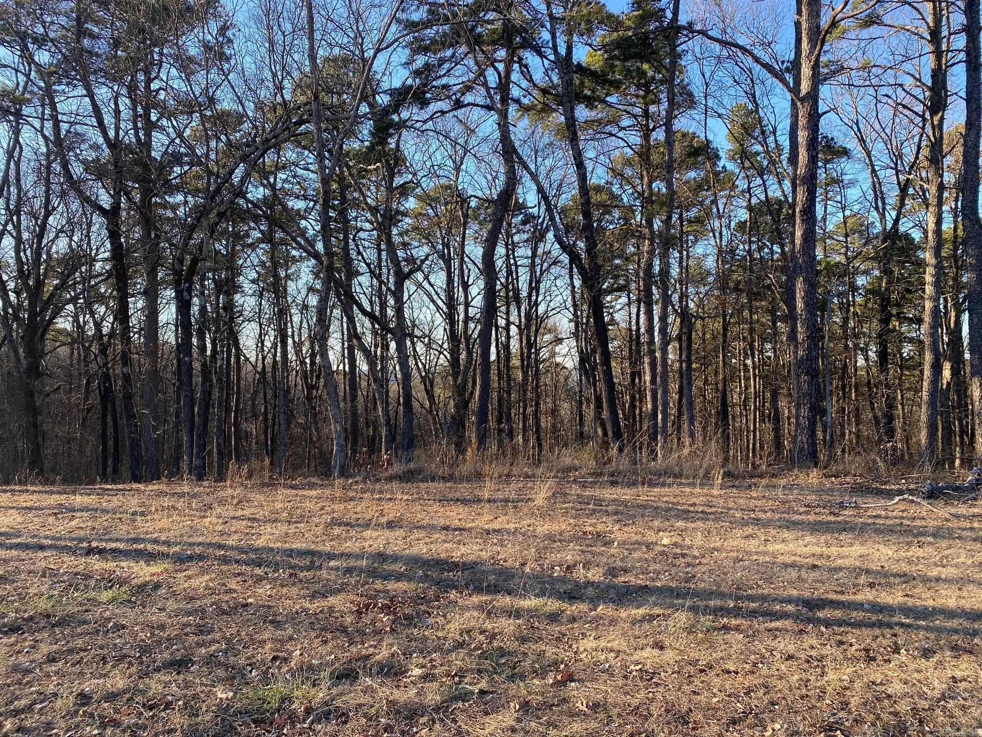 184 Dug Hill Road  Drasco, AR