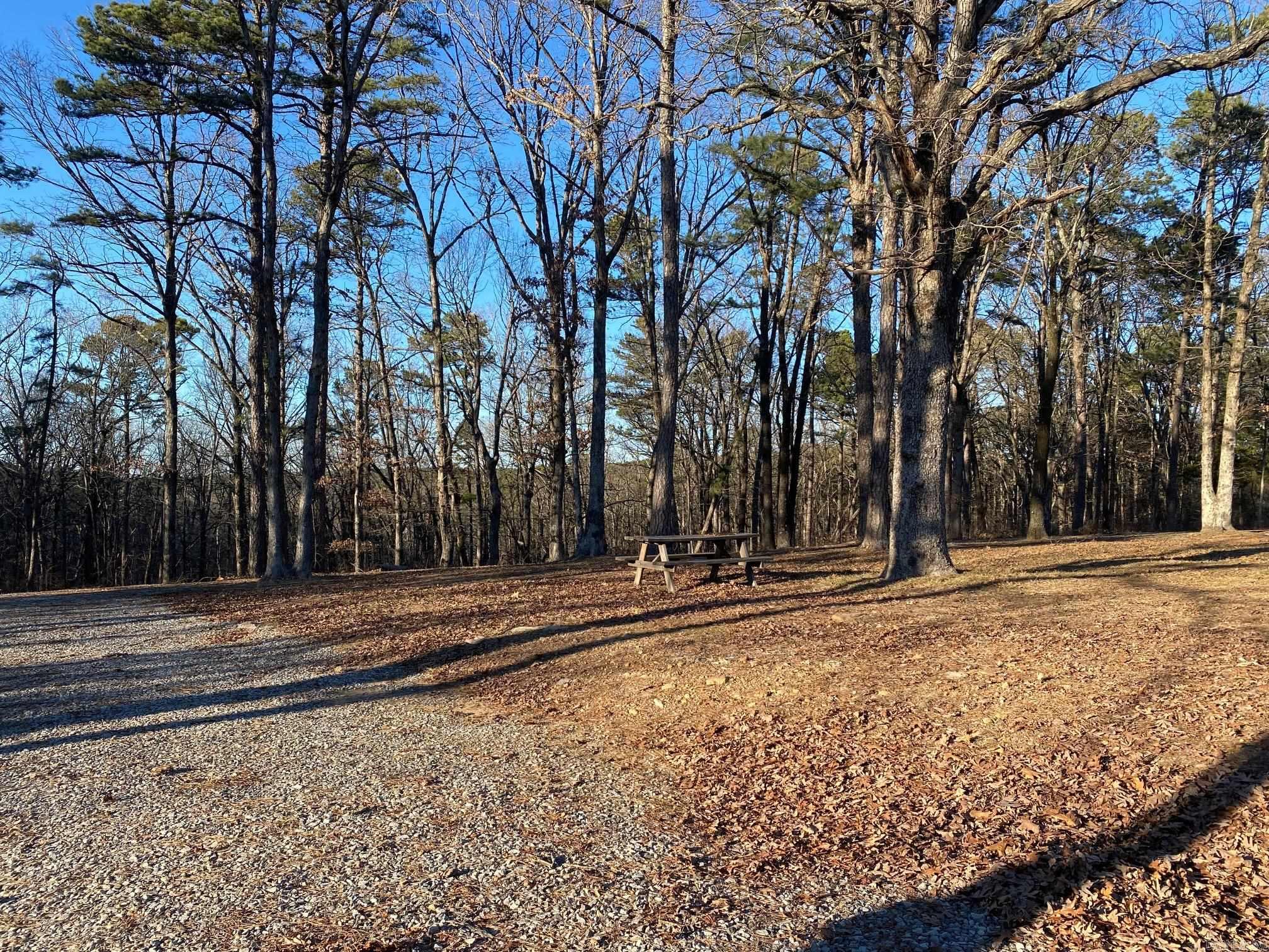 184 Dug Hill Road  Drasco, AR