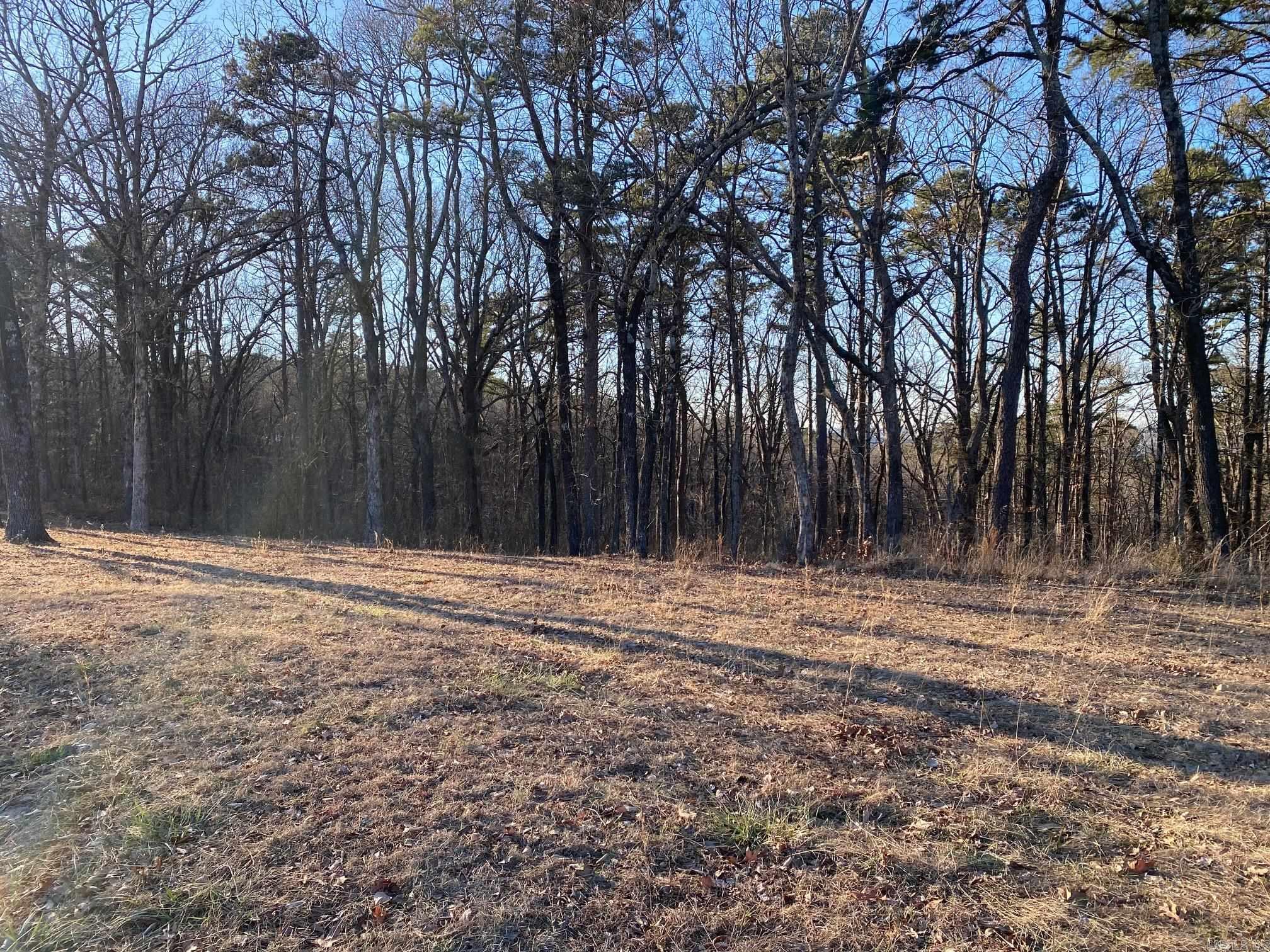 184 Dug Hill Road  Drasco, AR