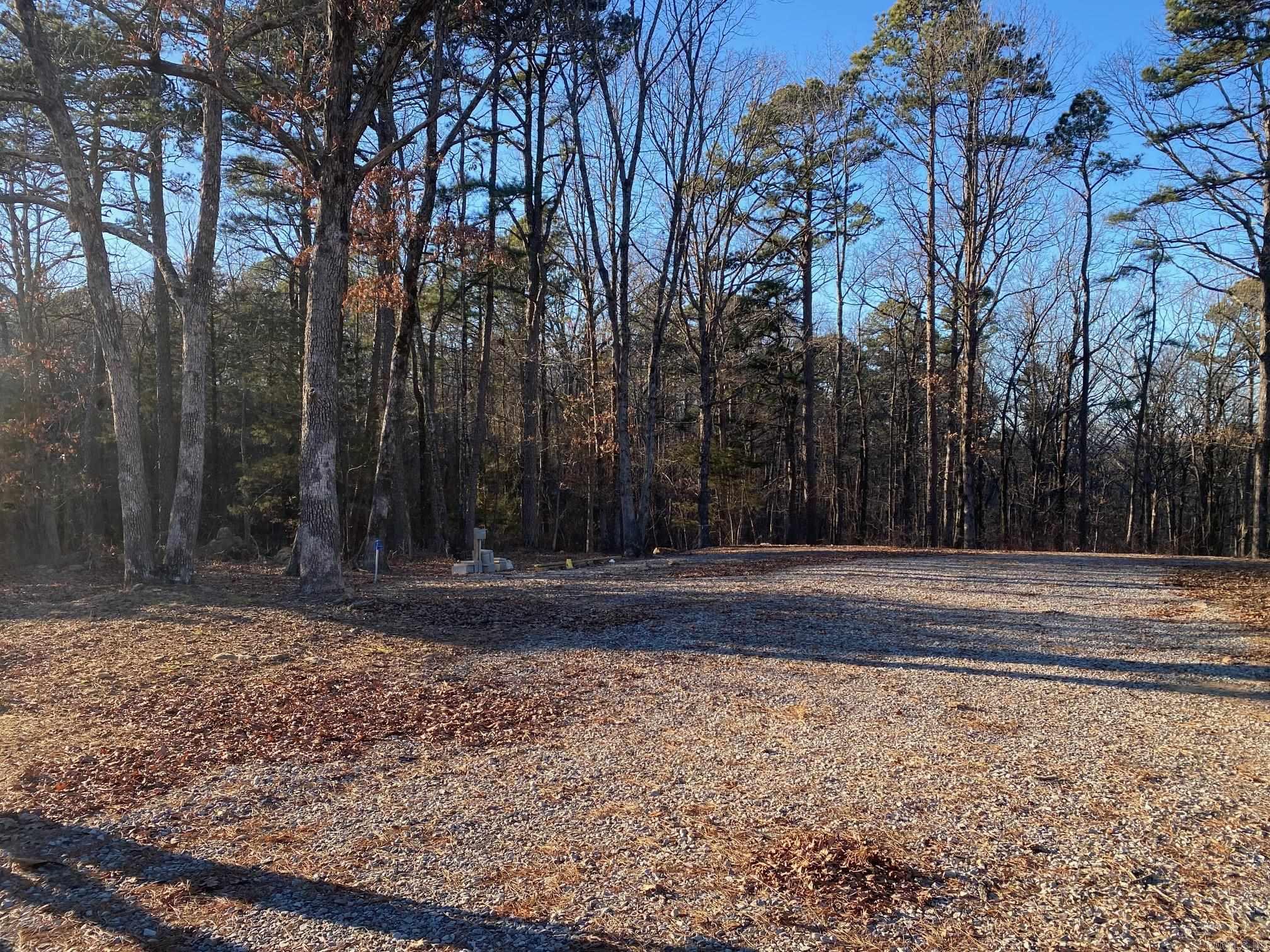 184 Dug Hill Road  Drasco, AR
