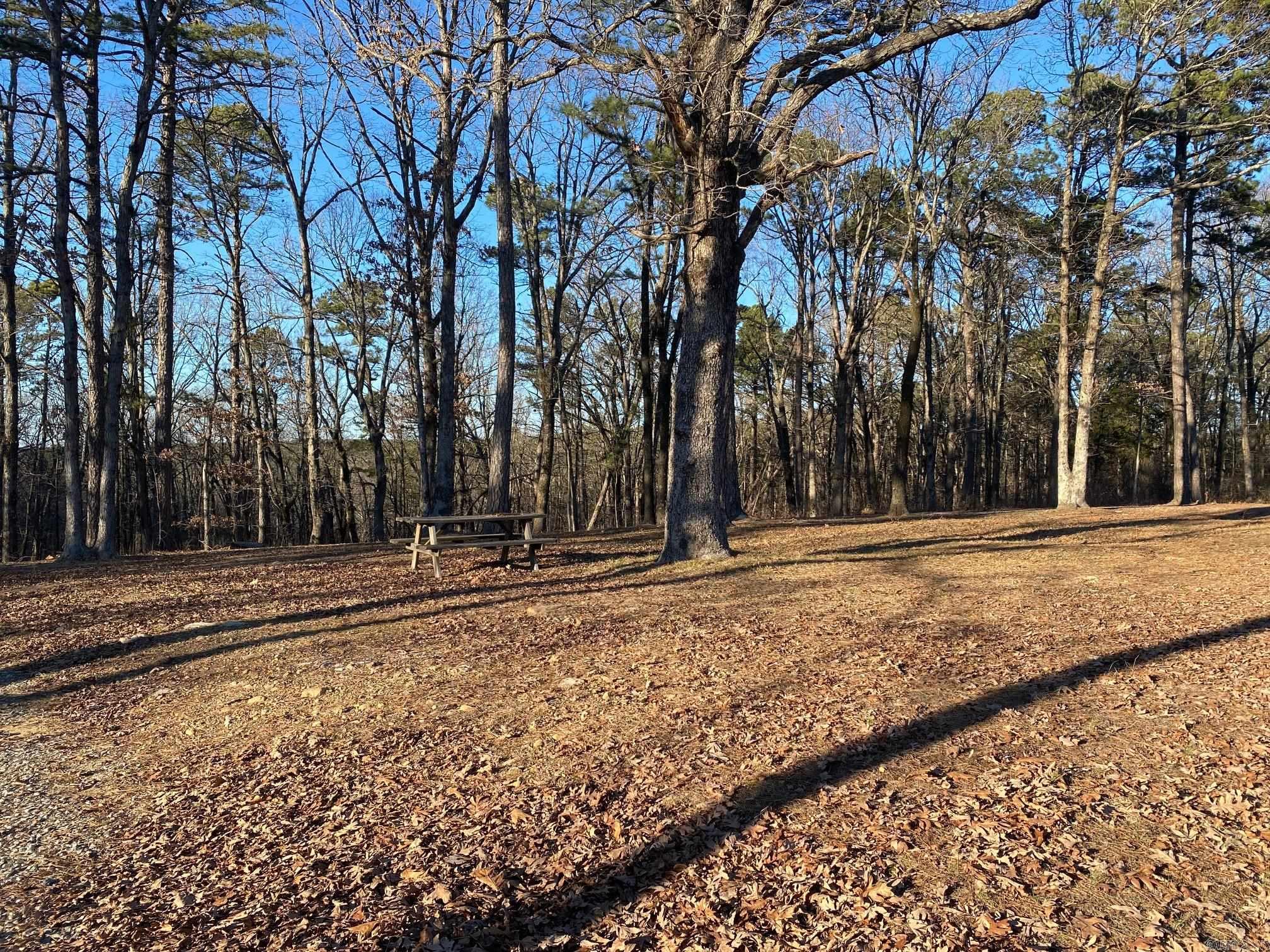 184 Dug Hill Road  Drasco, AR