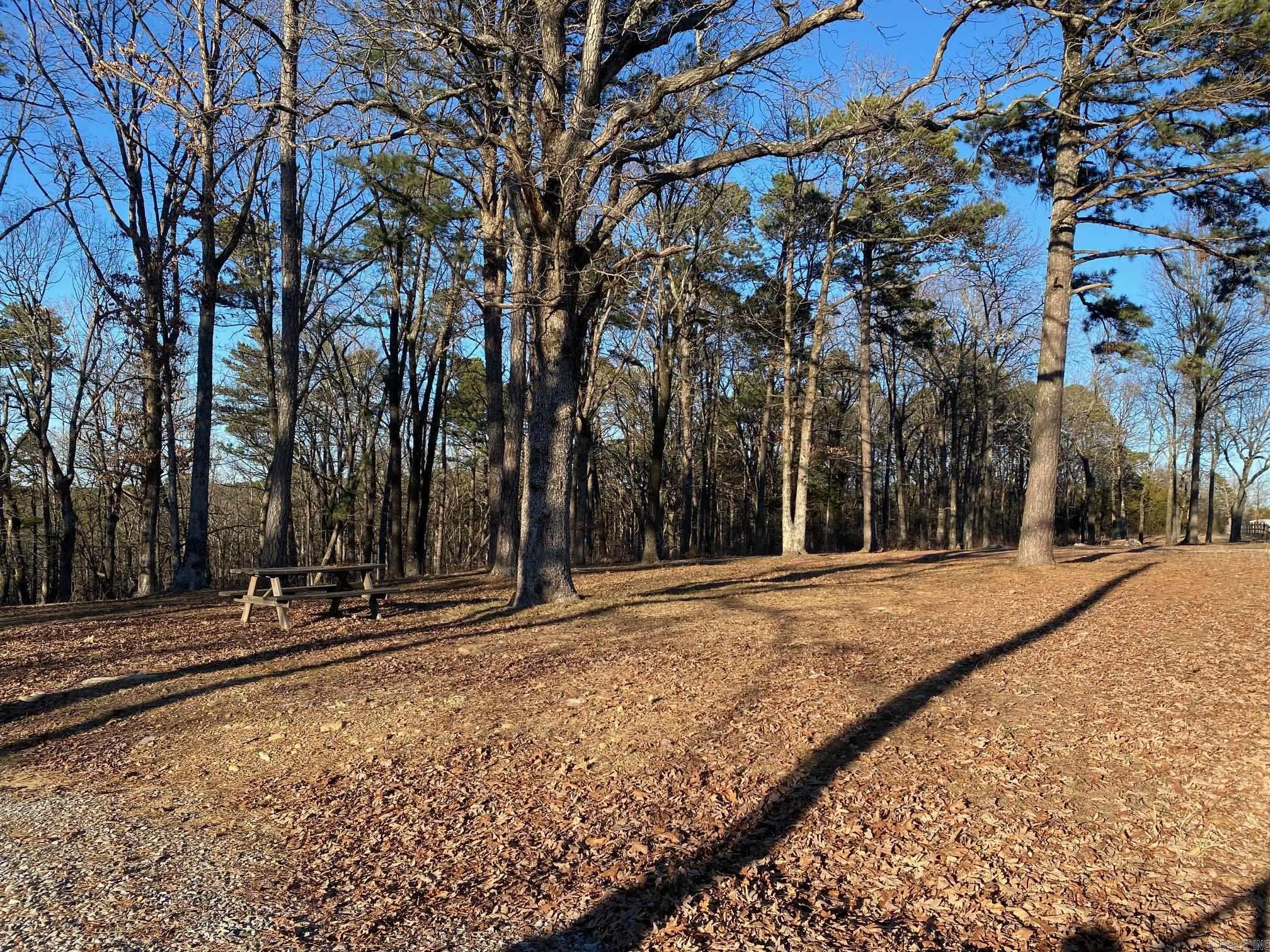 184 Dug Hill Road  Drasco, AR
