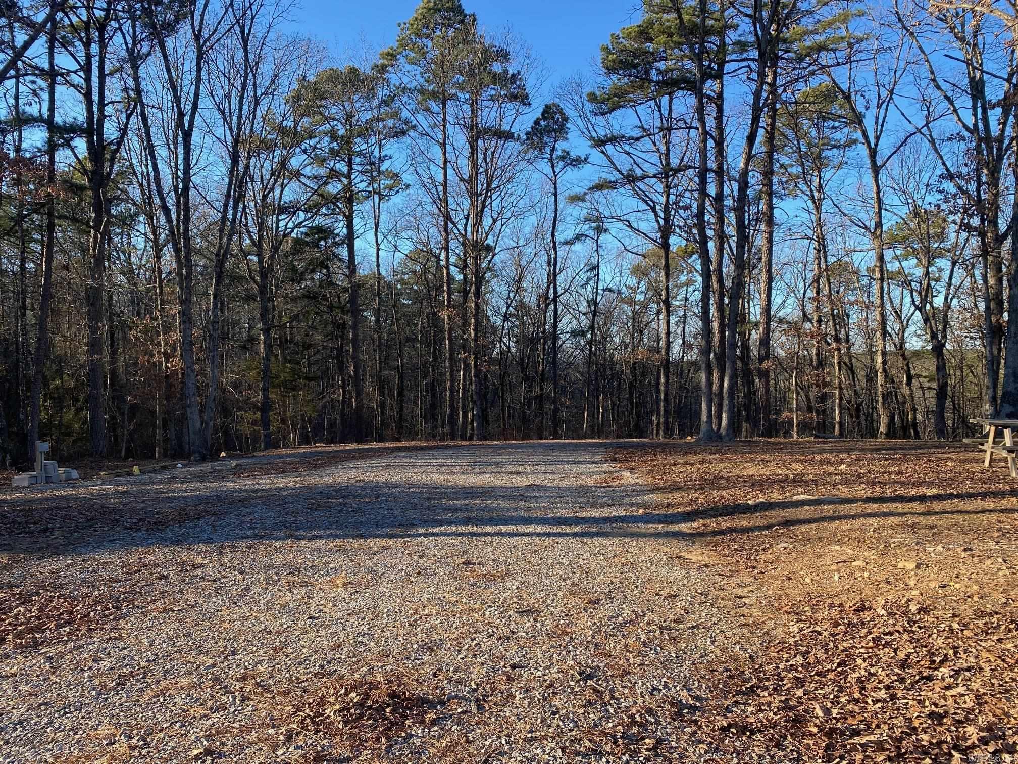 184 Dug Hill Road  Drasco, AR