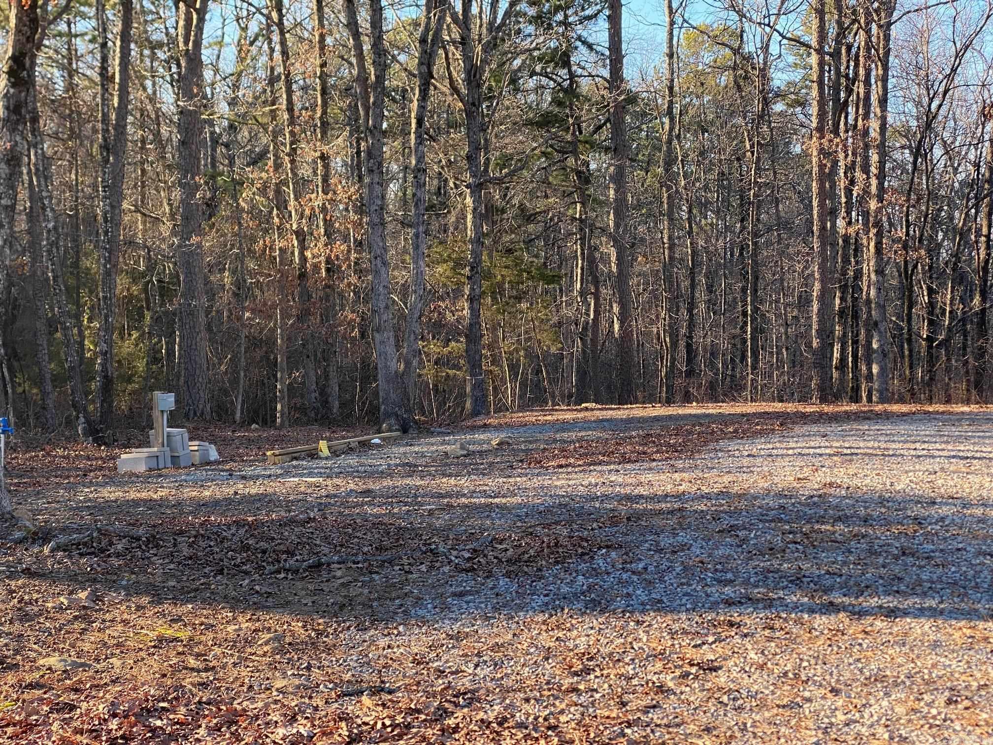 184 Dug Hill Road  Drasco, AR