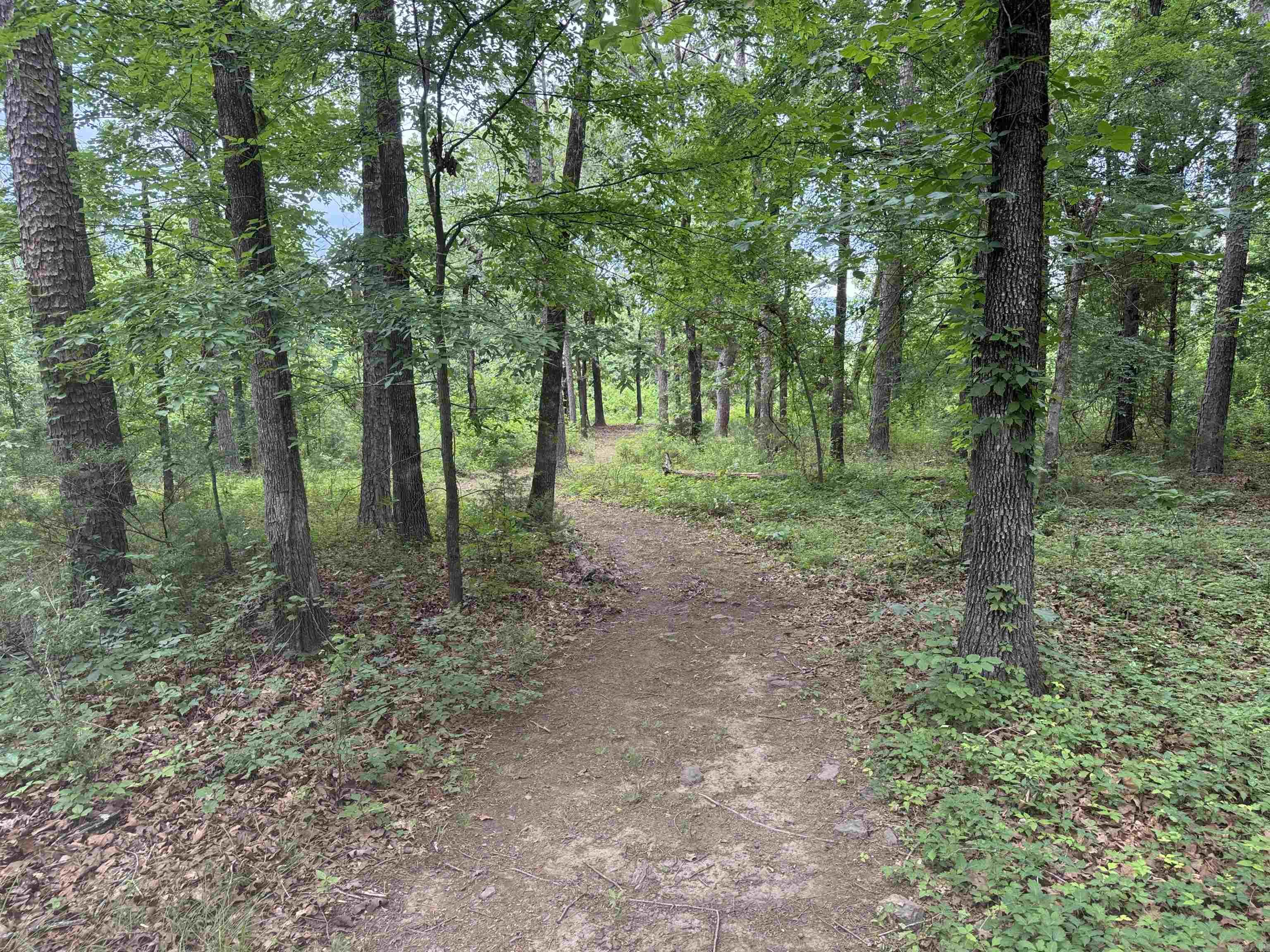 98 Lakeside  Higden, AR