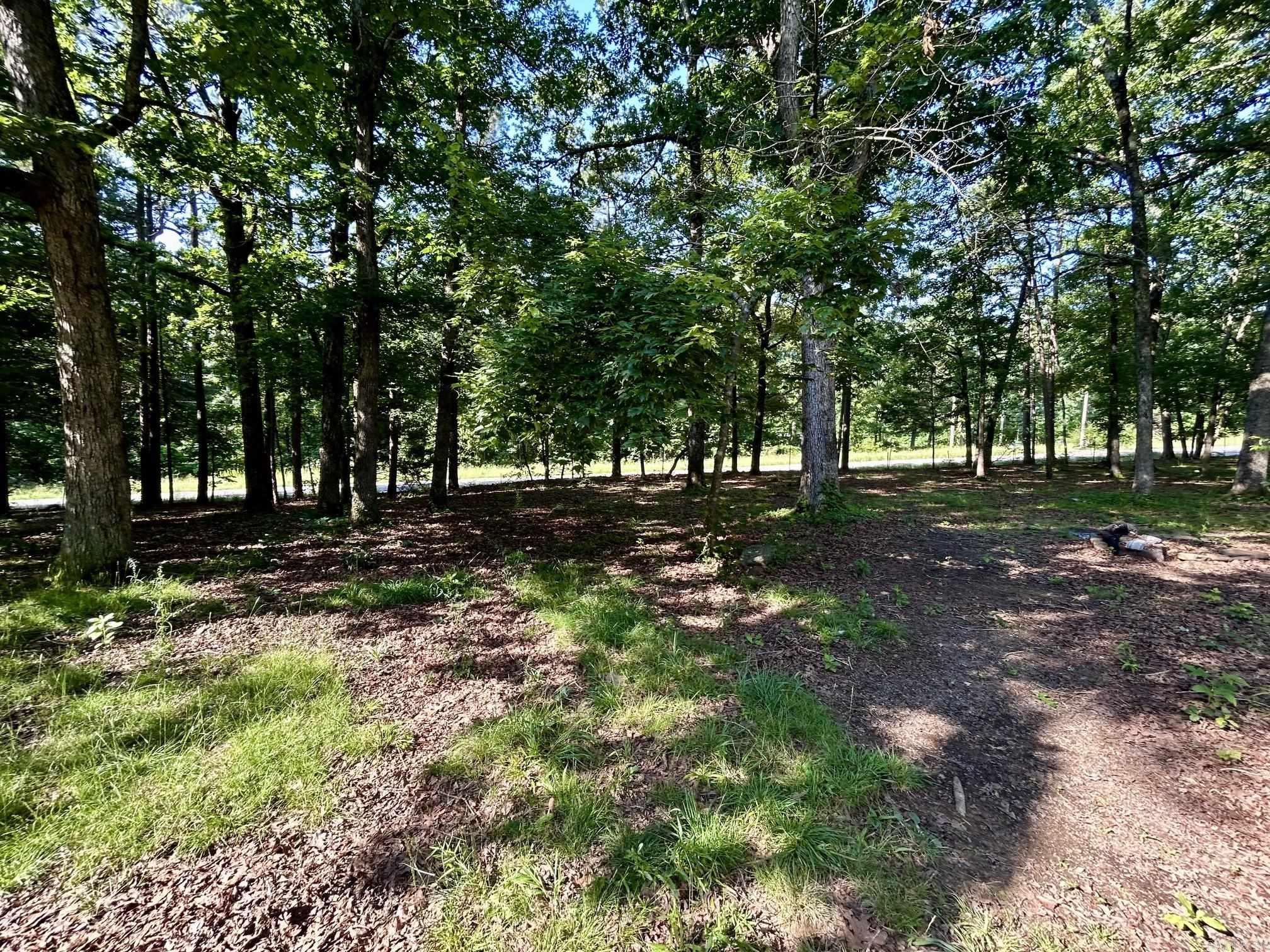 6195 Hwy 263  Mountain View, AR