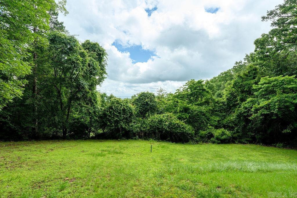 1199 Stacy Springs  Heber Springs, AR