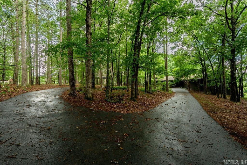 1199 Stacy Springs Rd  Heber Springs, AR