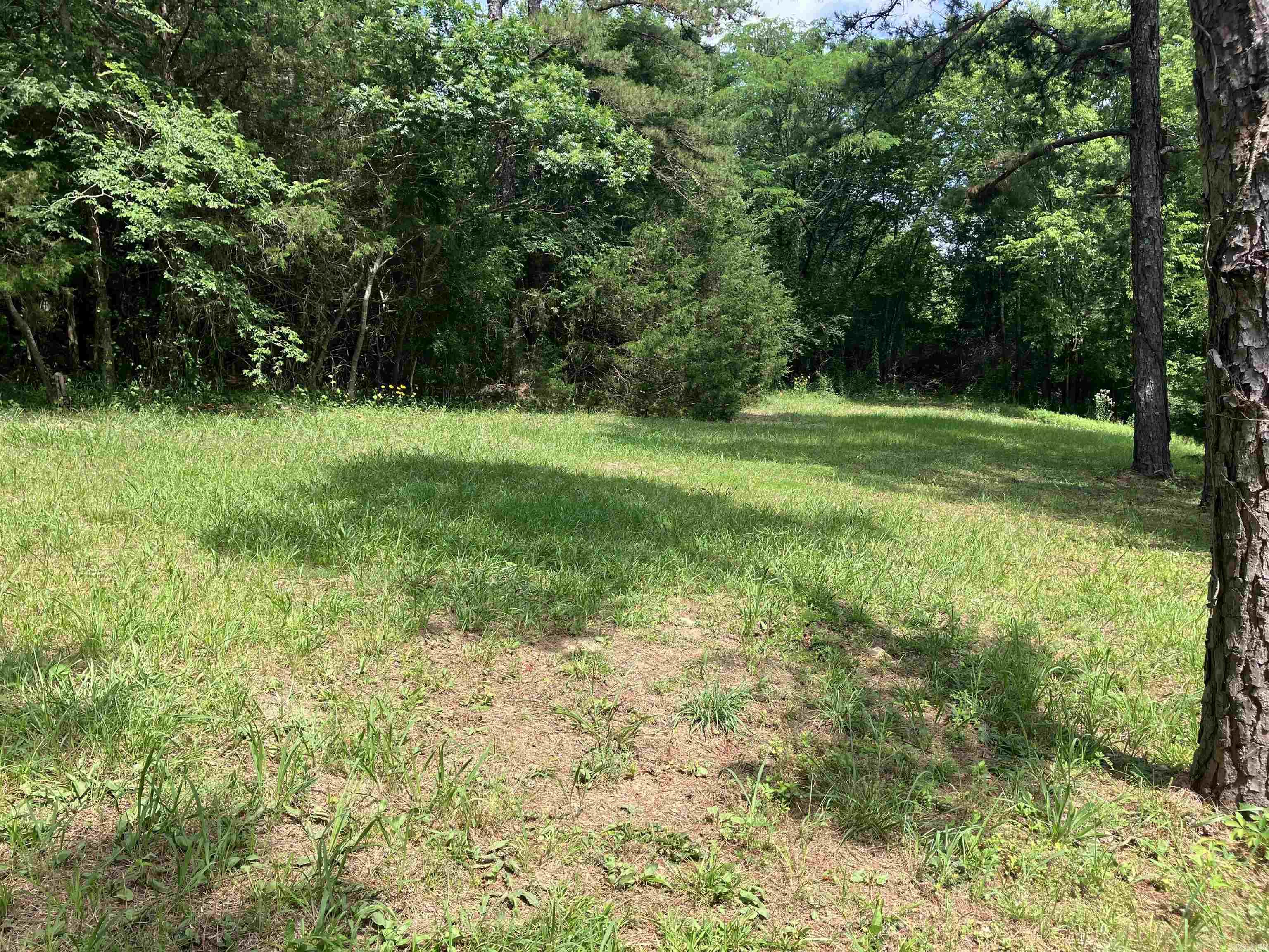 190 Waggoner St.  Norman, AR