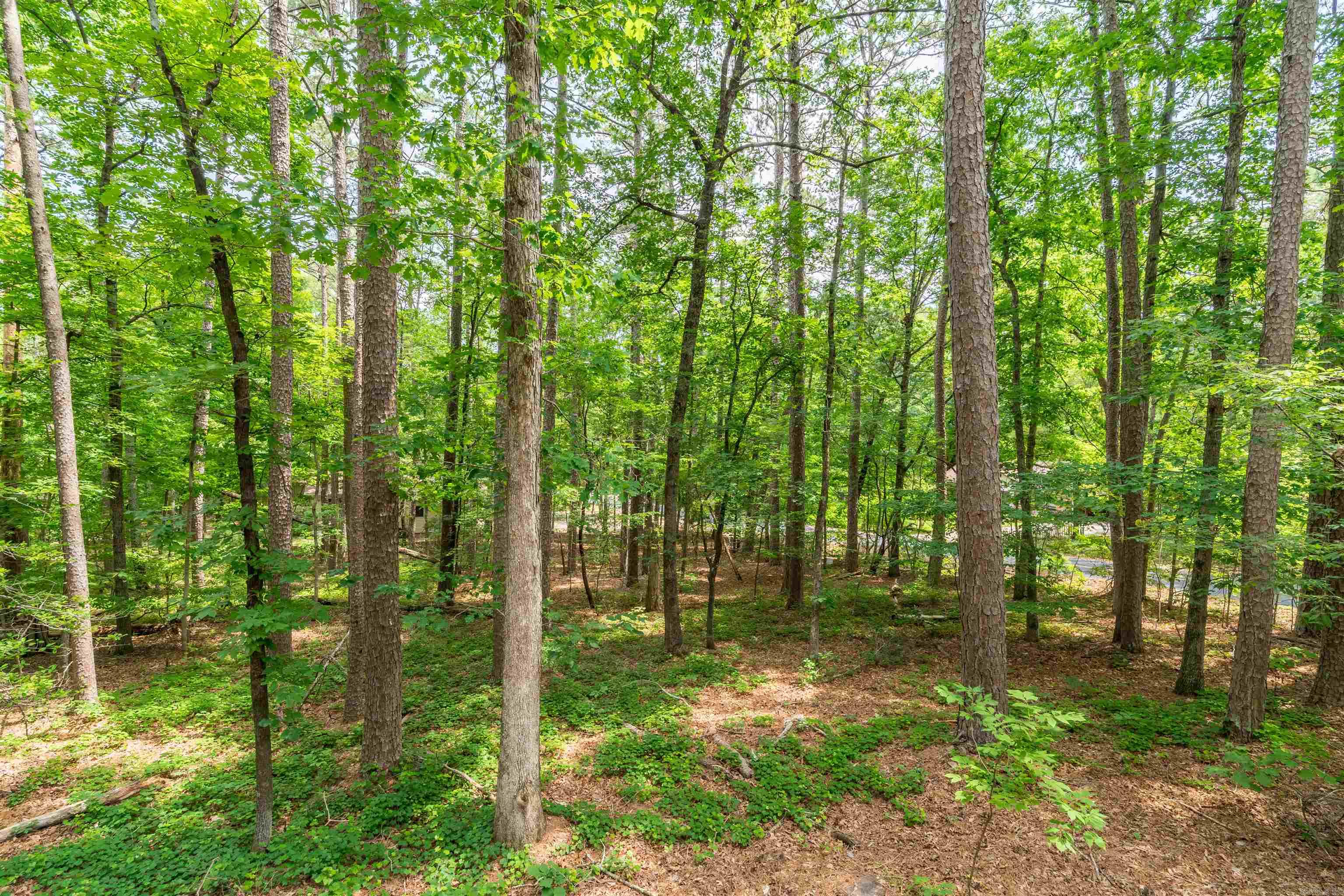 64 Pontevedra  Hot Springs Village, AR
