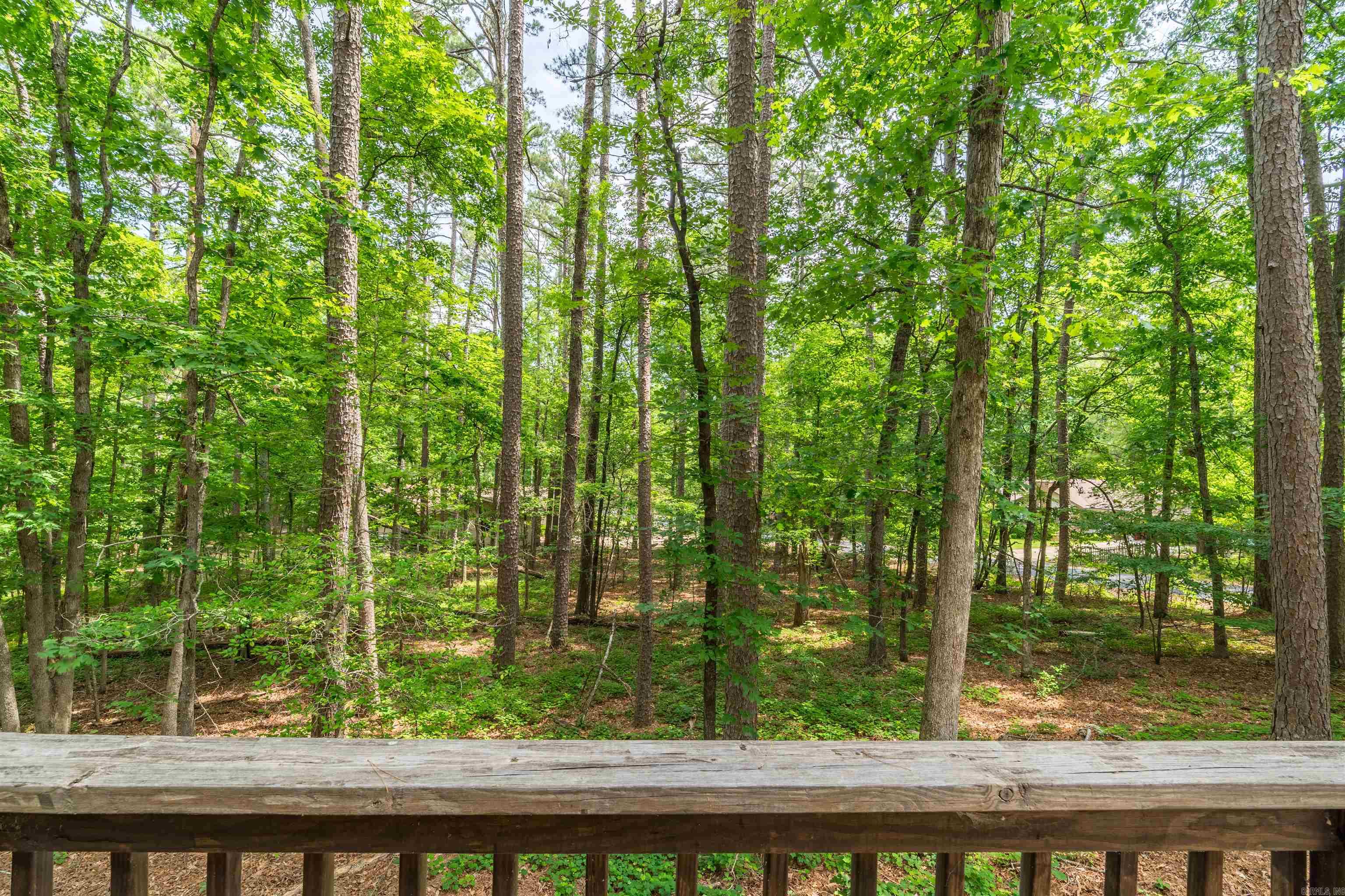 64 Pontevedra  Hot Springs Village, AR