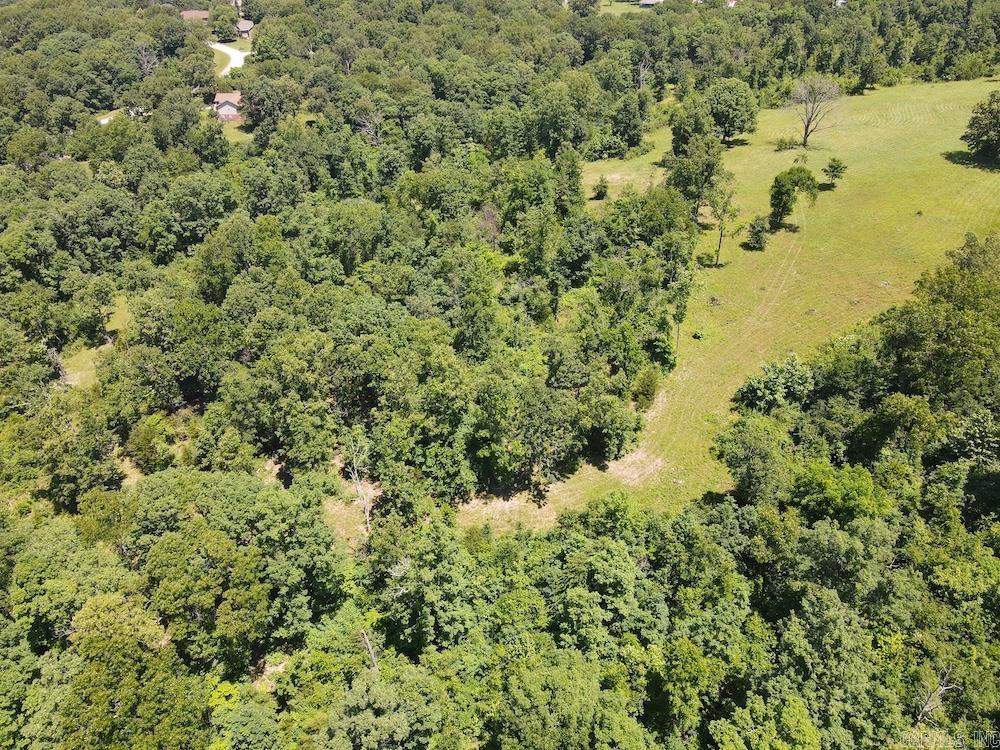  Wooded Hills Road  Harrison, AR