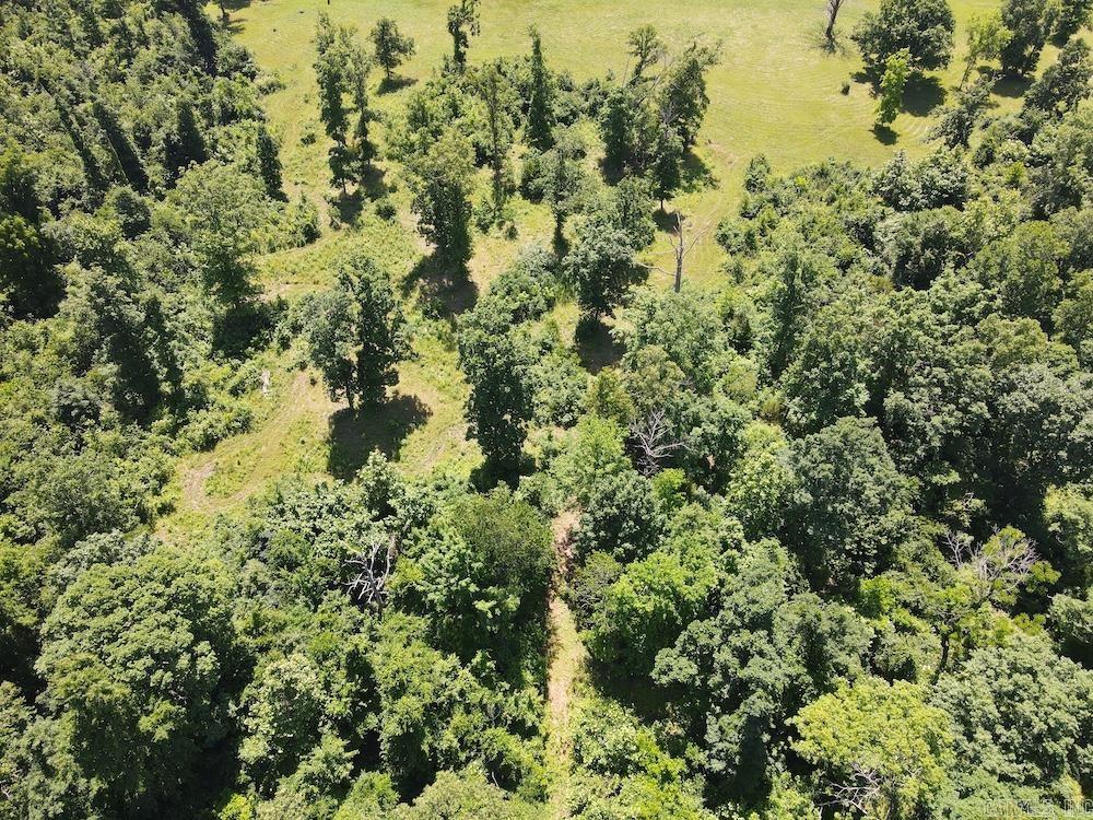  Wooded Hills Road  Harrison, AR