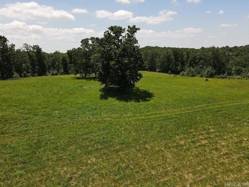  Wooded Hills Road  Harrison, AR