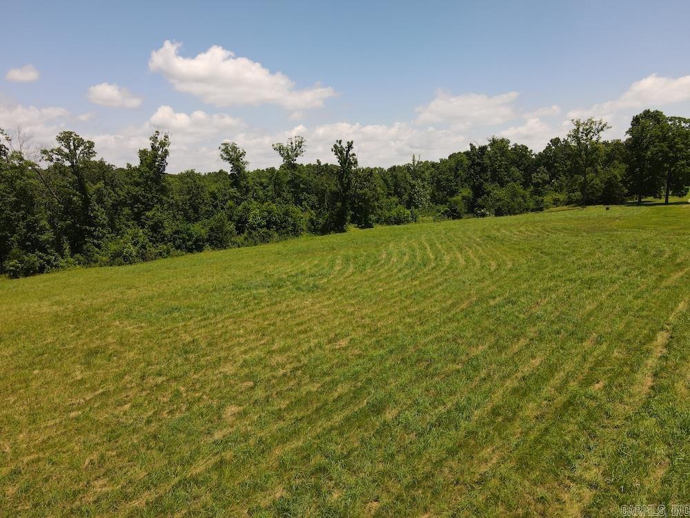  Wooded Hills Road  Harrison, AR