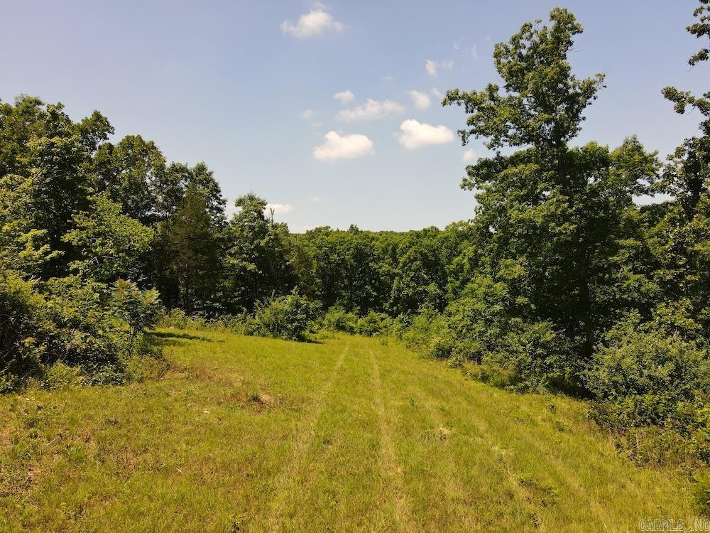  Wooded Hills Road  Harrison, AR