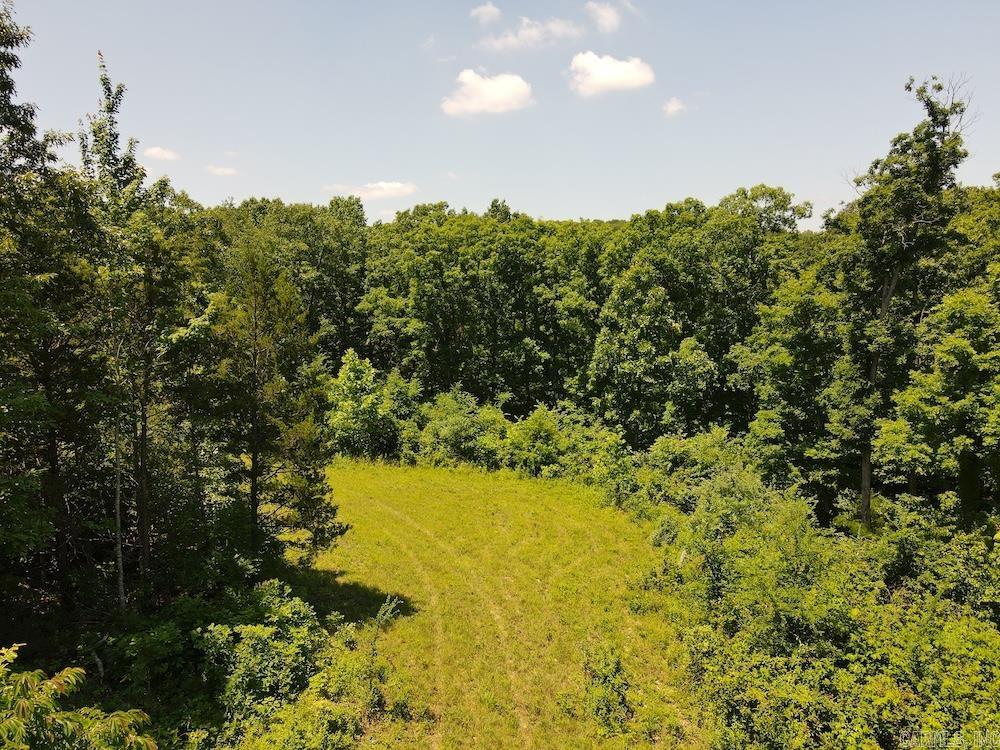  Wooded Hills Road  Harrison, AR