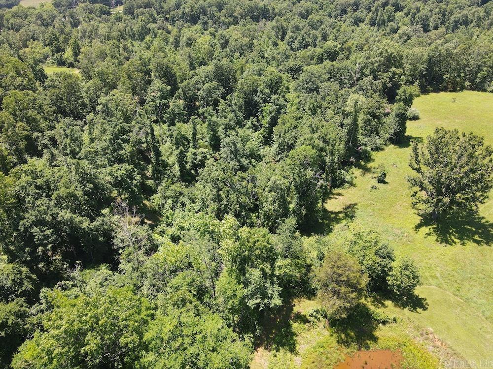  Wooded Hills Road  Harrison, AR