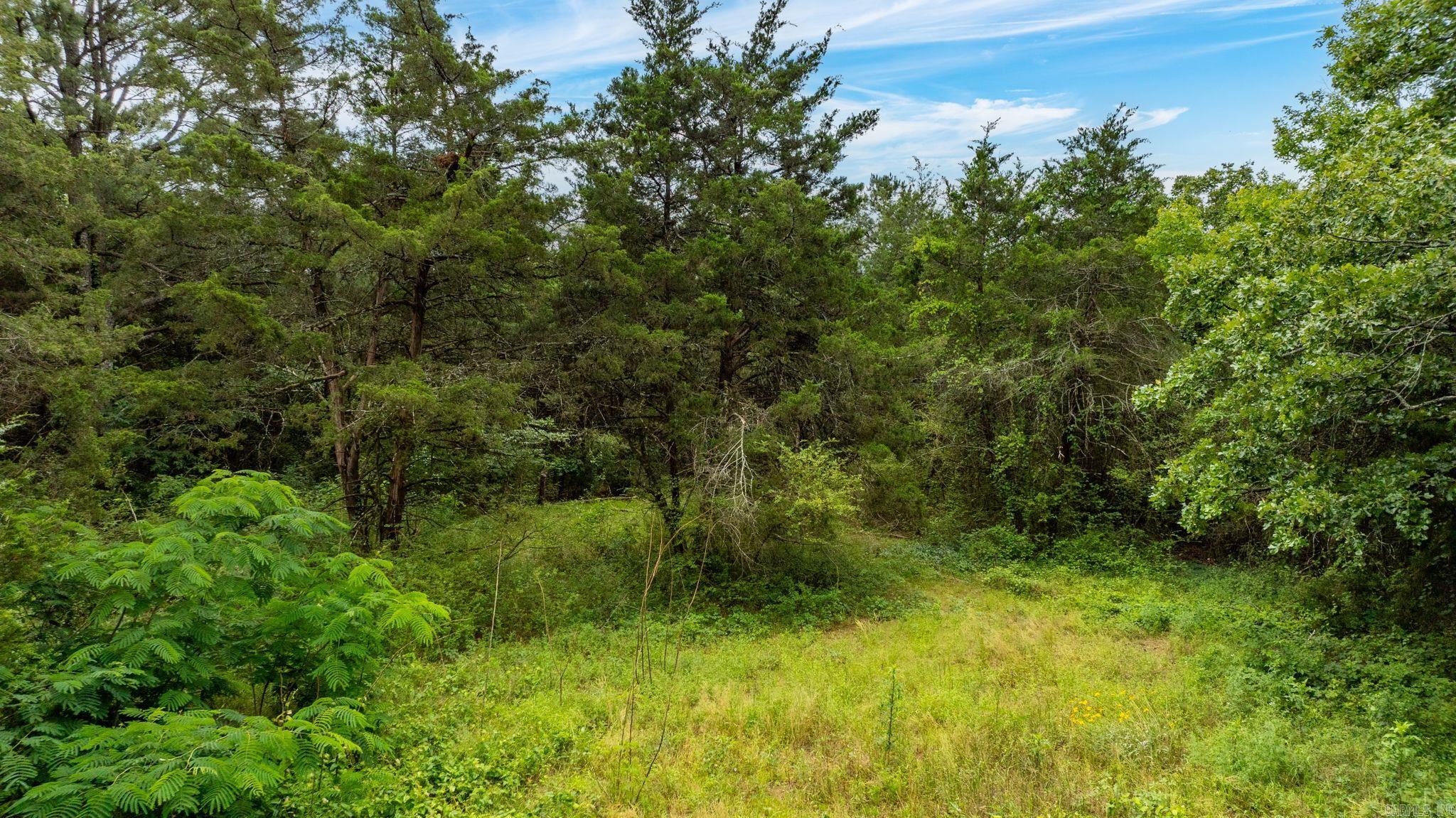 2415 Old Morrilton Highway  Conway, AR