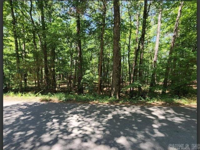 98 Murillo  Hot Springs Village, AR