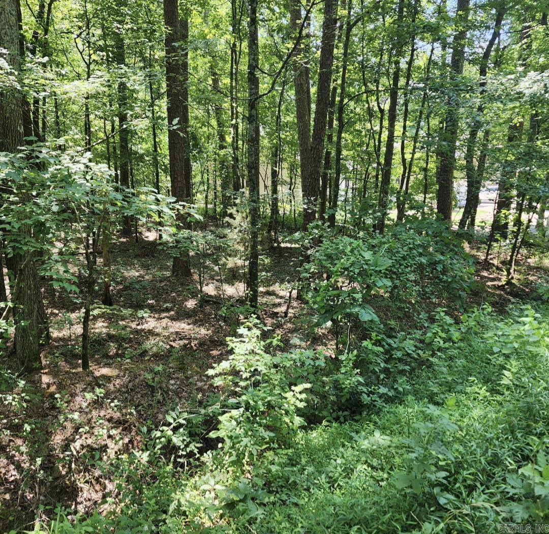 98 Murillo  Hot Springs Village, AR