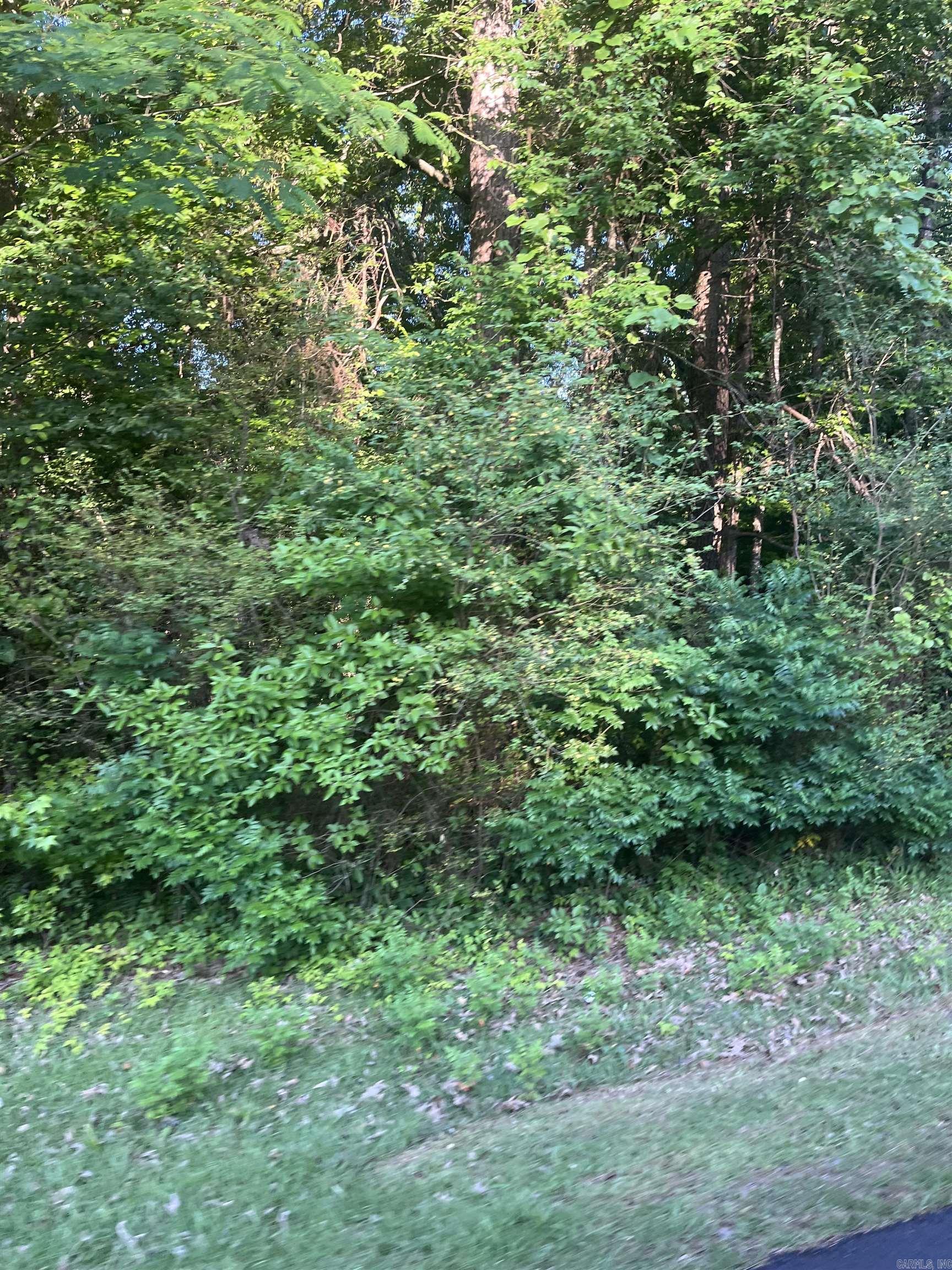 Lot 36 Tanglewood II  Monticello, AR