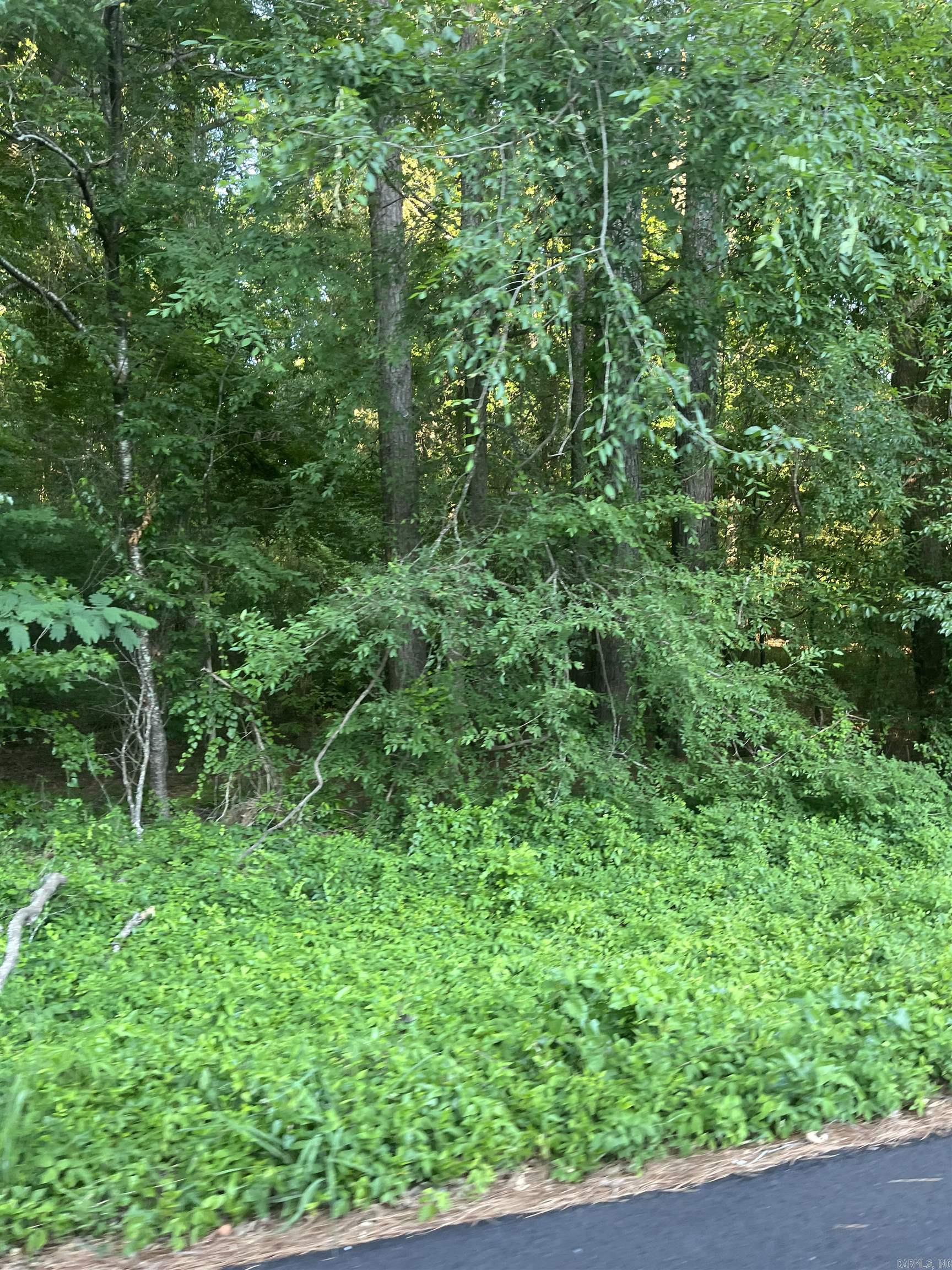 Lot 37 Tanglewood II  Monticello, AR