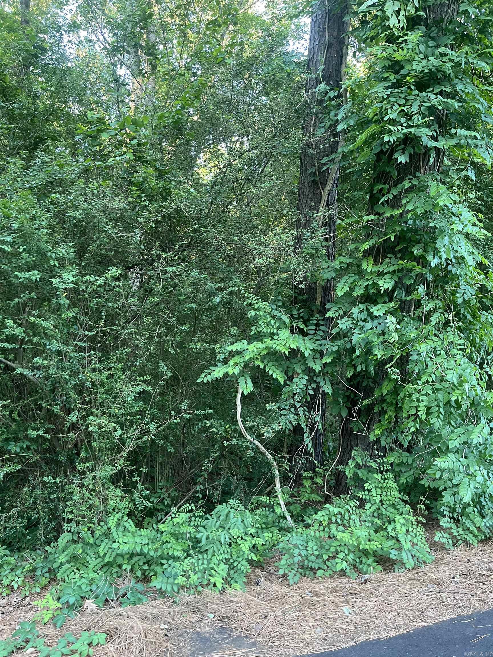 Lot 37 Tanglewood II  Monticello, AR