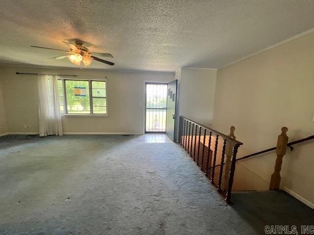 1206 County 761  Brookland, AR
