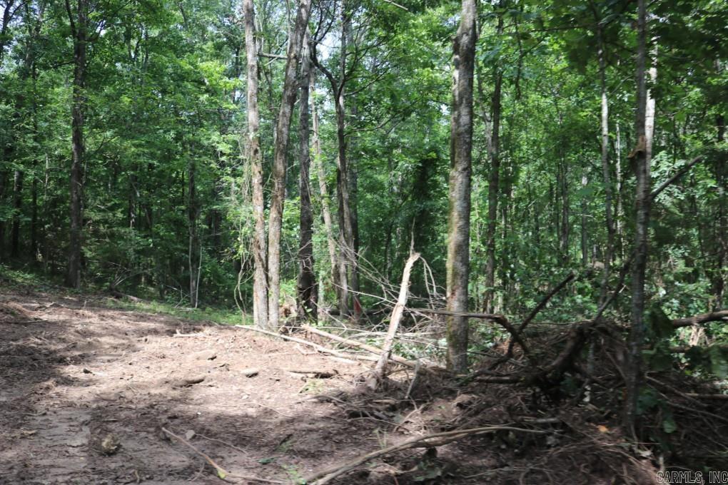  Tracewood  Dennard, AR